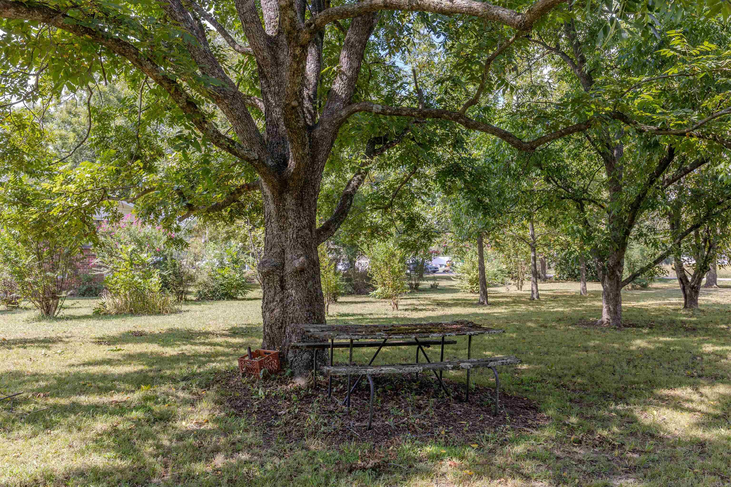 PERRYVILLE CITY ACREAGE - Residential