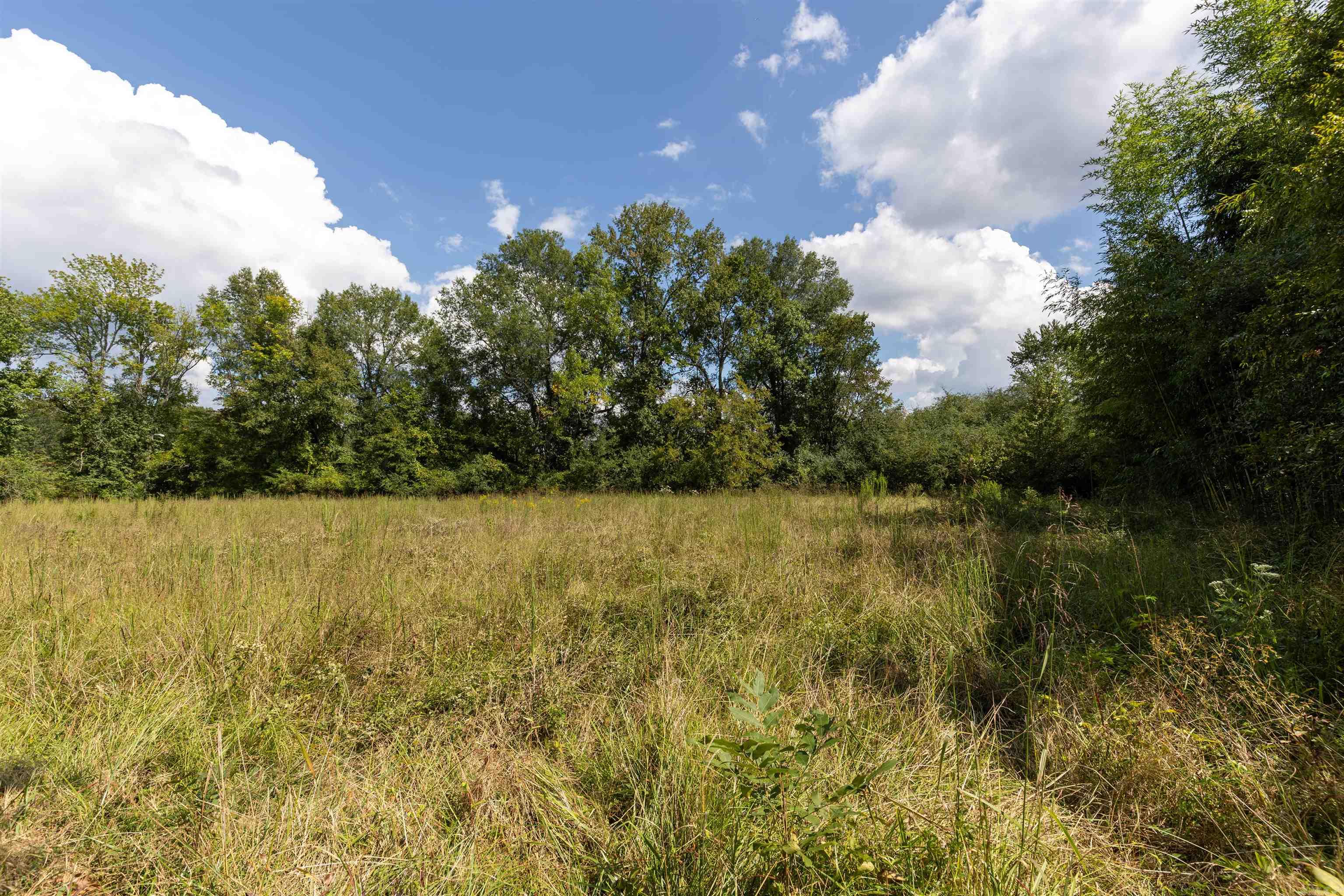 PERRYVILLE CITY ACREAGE - Residential