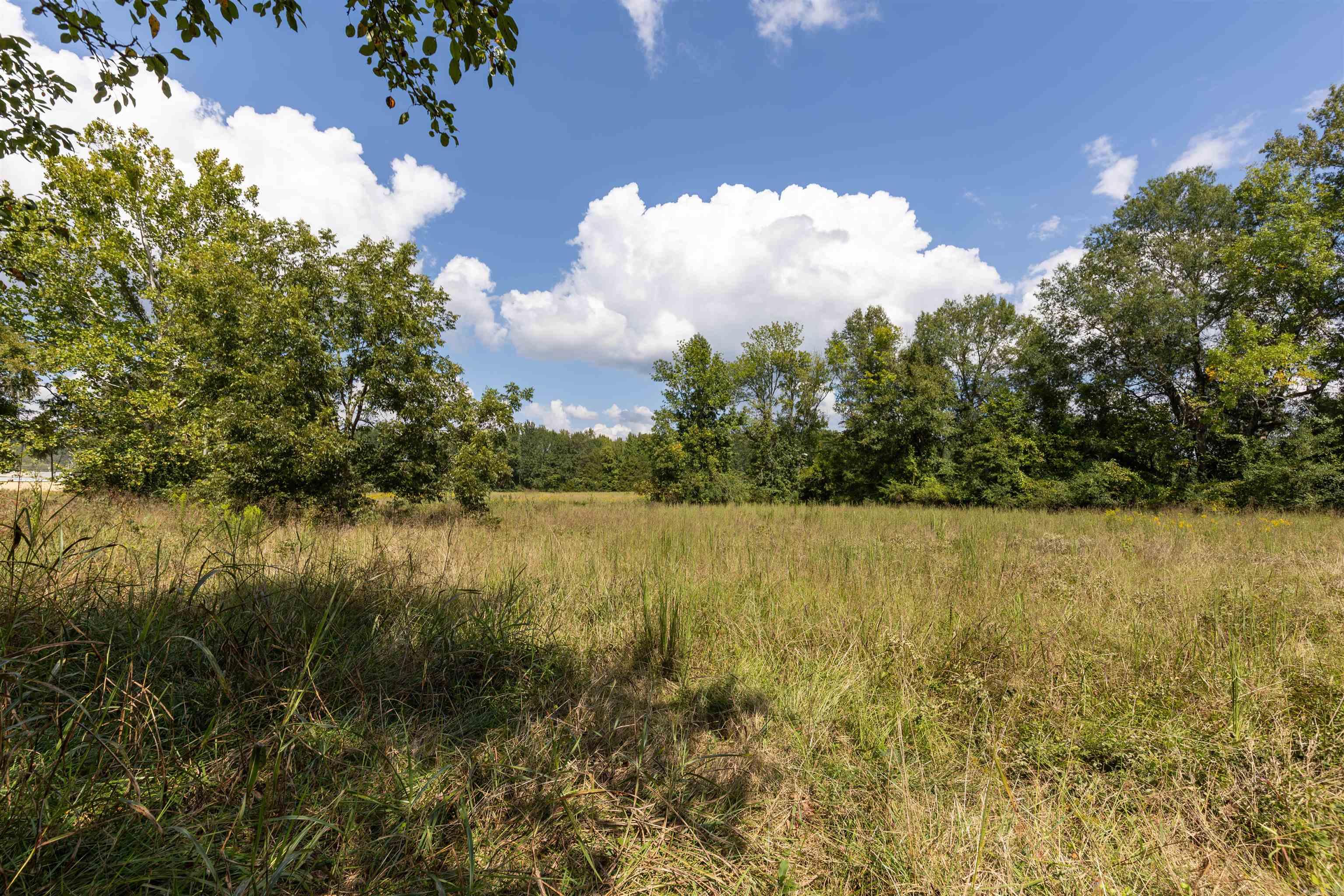 PERRYVILLE CITY ACREAGE - Residential