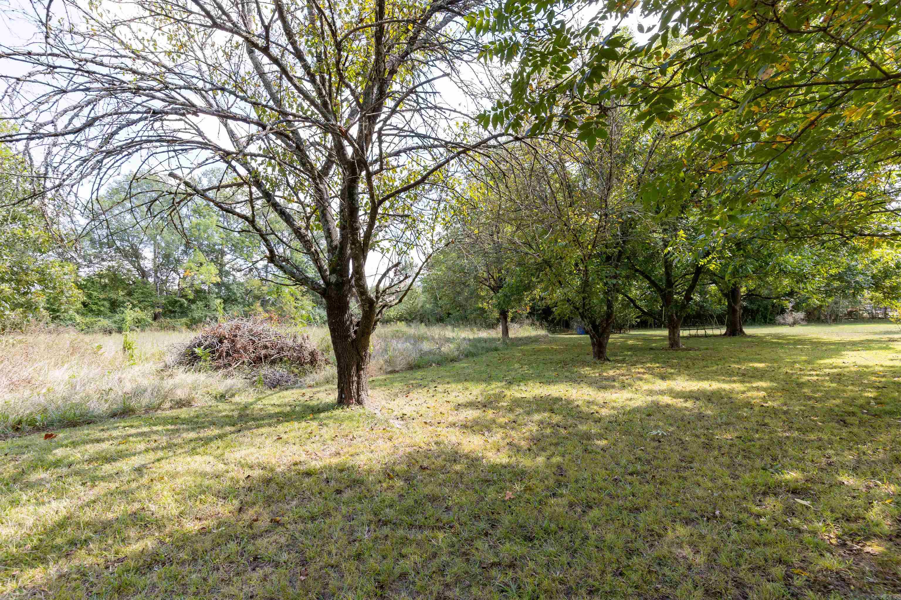 PERRYVILLE CITY ACREAGE - Residential