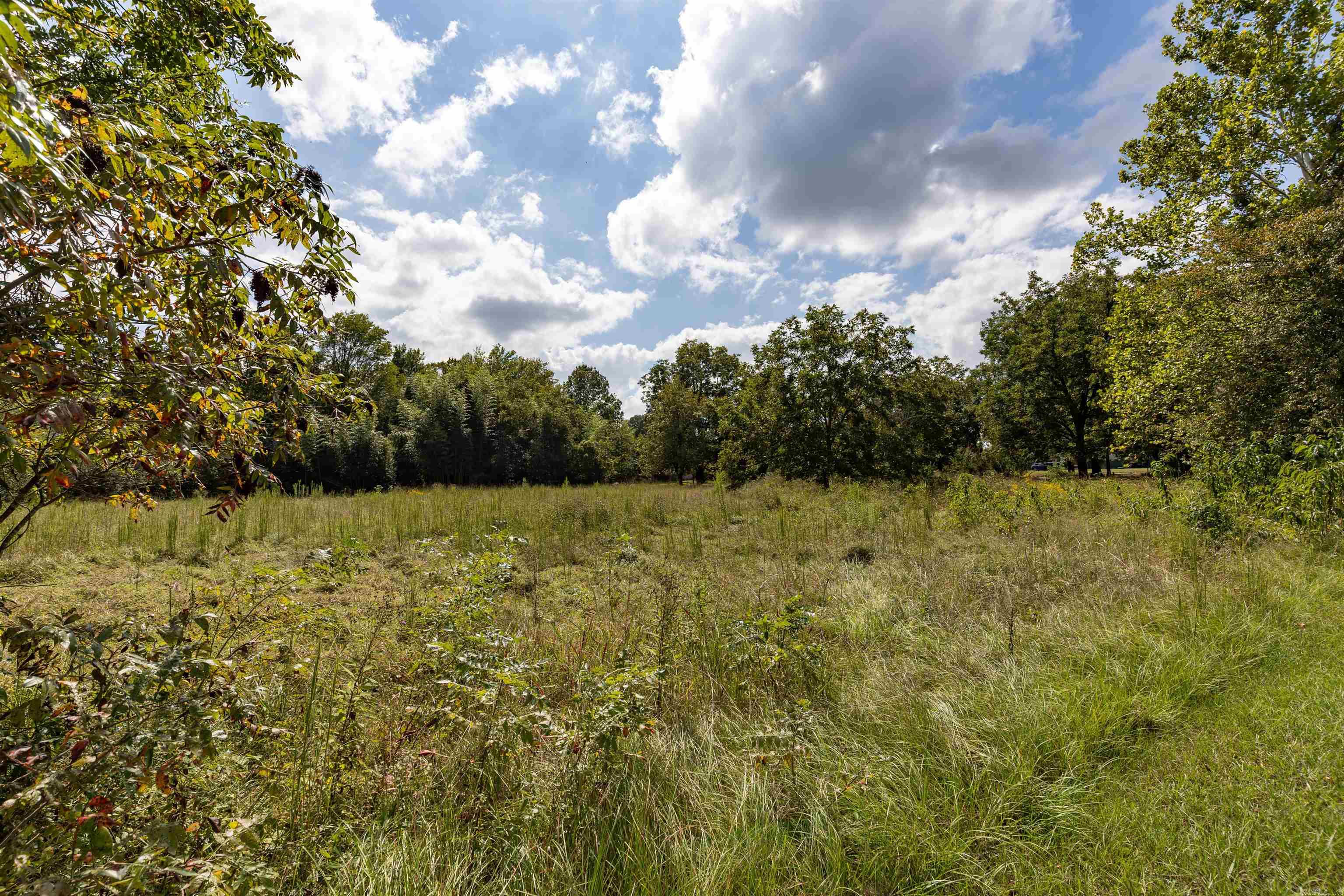 PERRYVILLE CITY ACREAGE - Residential