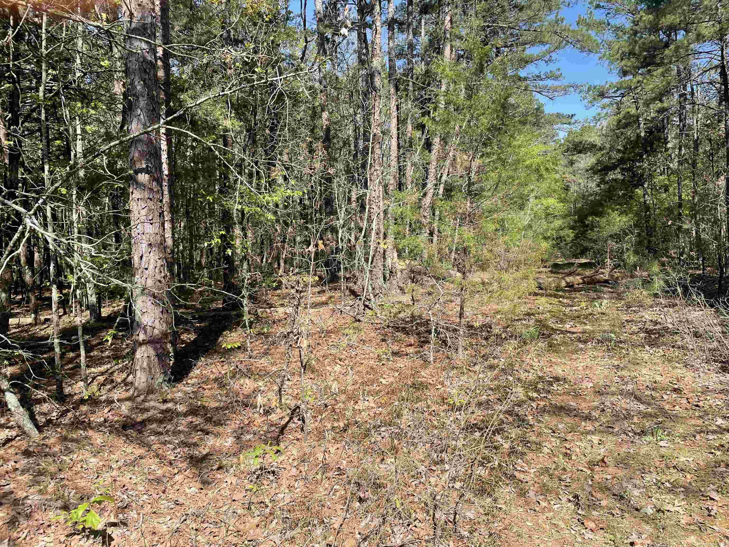 Nice wooded land. Mineral right do not convey.