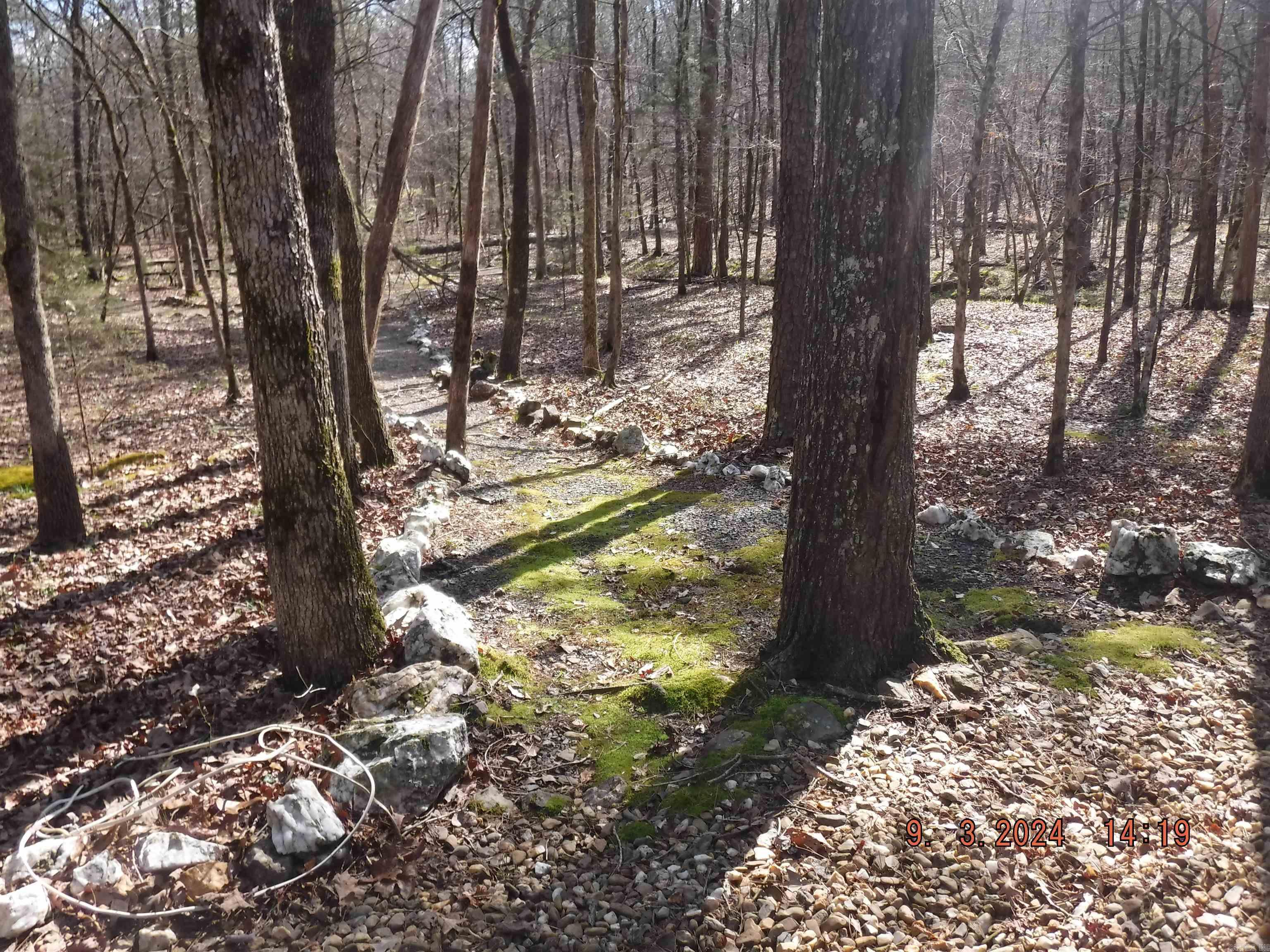 Sergio - Residential