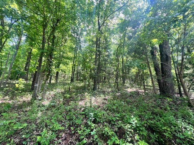 Almost 4 acres of secluded, wooded land on the Missouri- Arkansas Stateline. Great for hunting whitetail, turkey, squirrel, and more. Nice building site with gravel road frontage. Close to Spring and Eleven Point Rivers. Quiet, private setting perfect for a getaway or homesite.