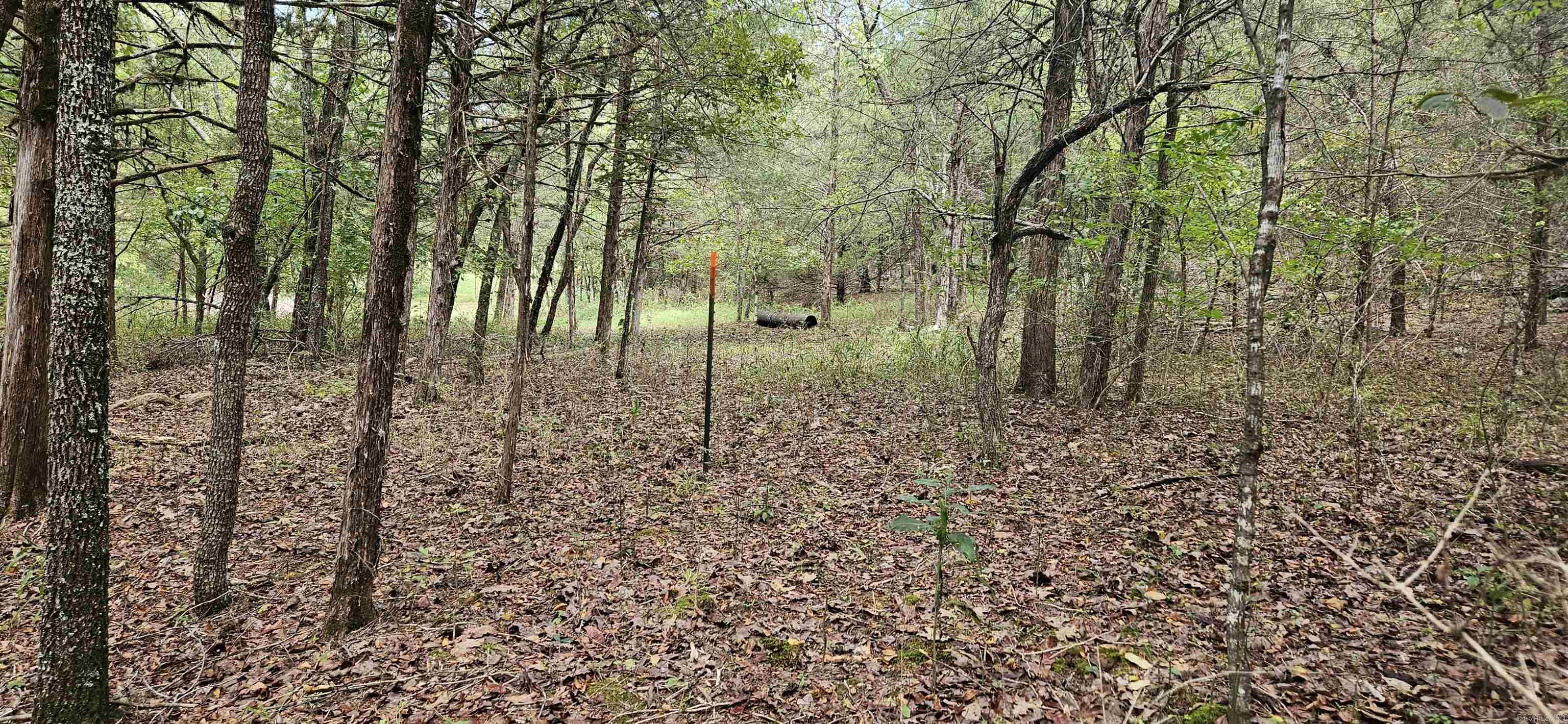 Unique undeveloped, unrestricted, private & secluded with possible views with clearing overlooking the Confluence of the Buffalo & White Rivers. There is a plateau up top for build. It is close to Buffalo City public access to miles of White River to access. Prime Parcel waiting for development. 10.9 acres m/l for $115,000.