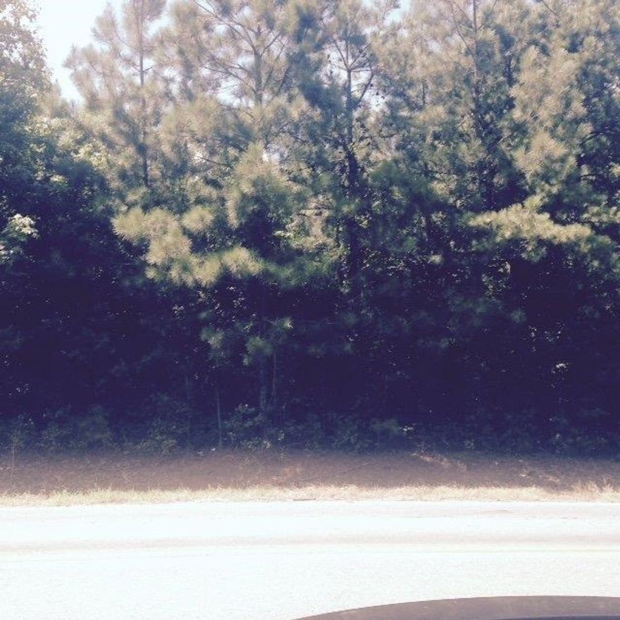 18.86 acres on Lee Springs Road. This parcel is in the Watson Chapel School district. It is nestled in woods which would provide a tranquil home sight. A plat will be provided to the buyer. A new loan must be obtained. There is no seller financing. Call today a bonus of $200.00 to the selling agent.