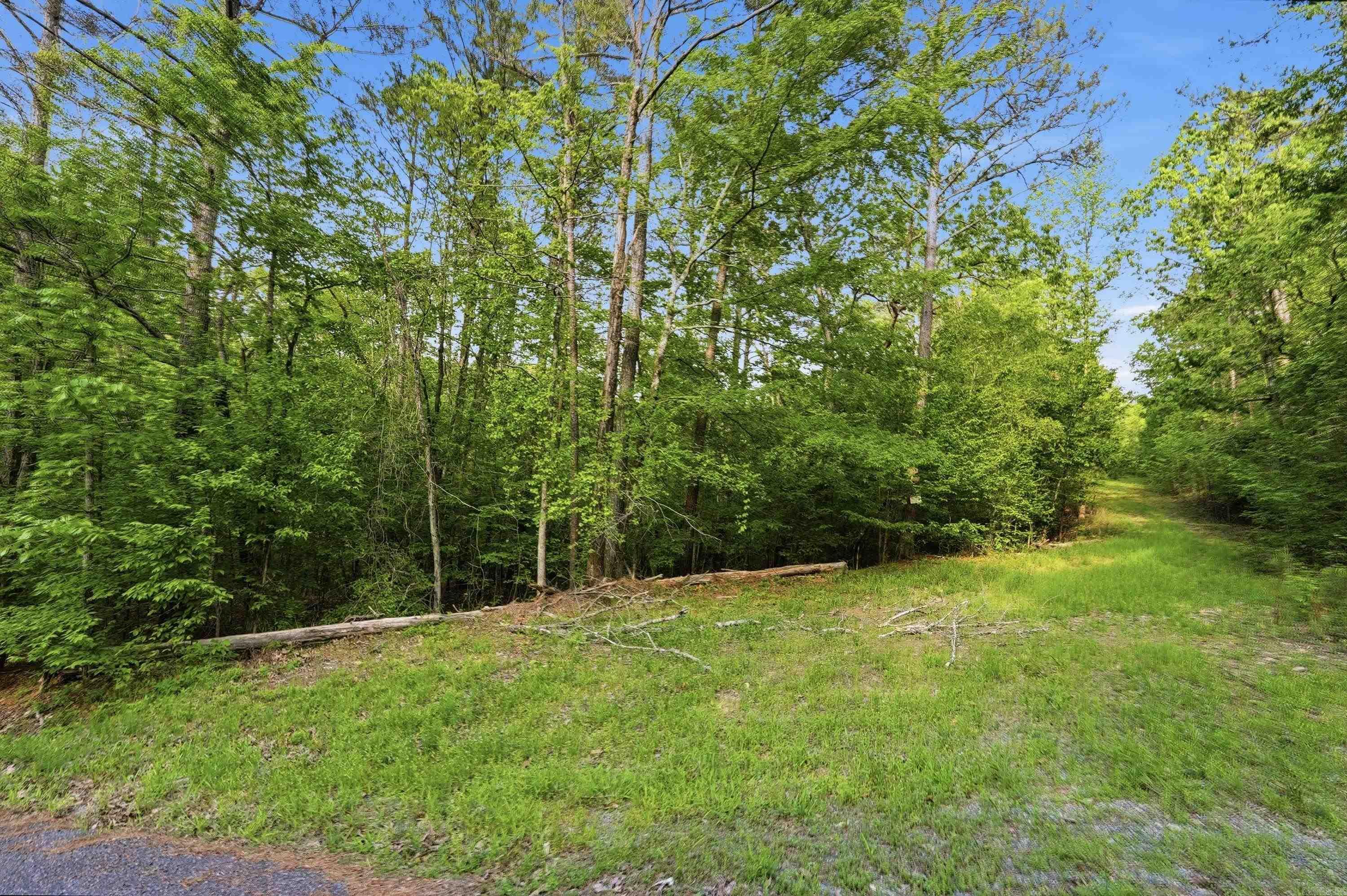 Lake Catherine Lakeview - Land