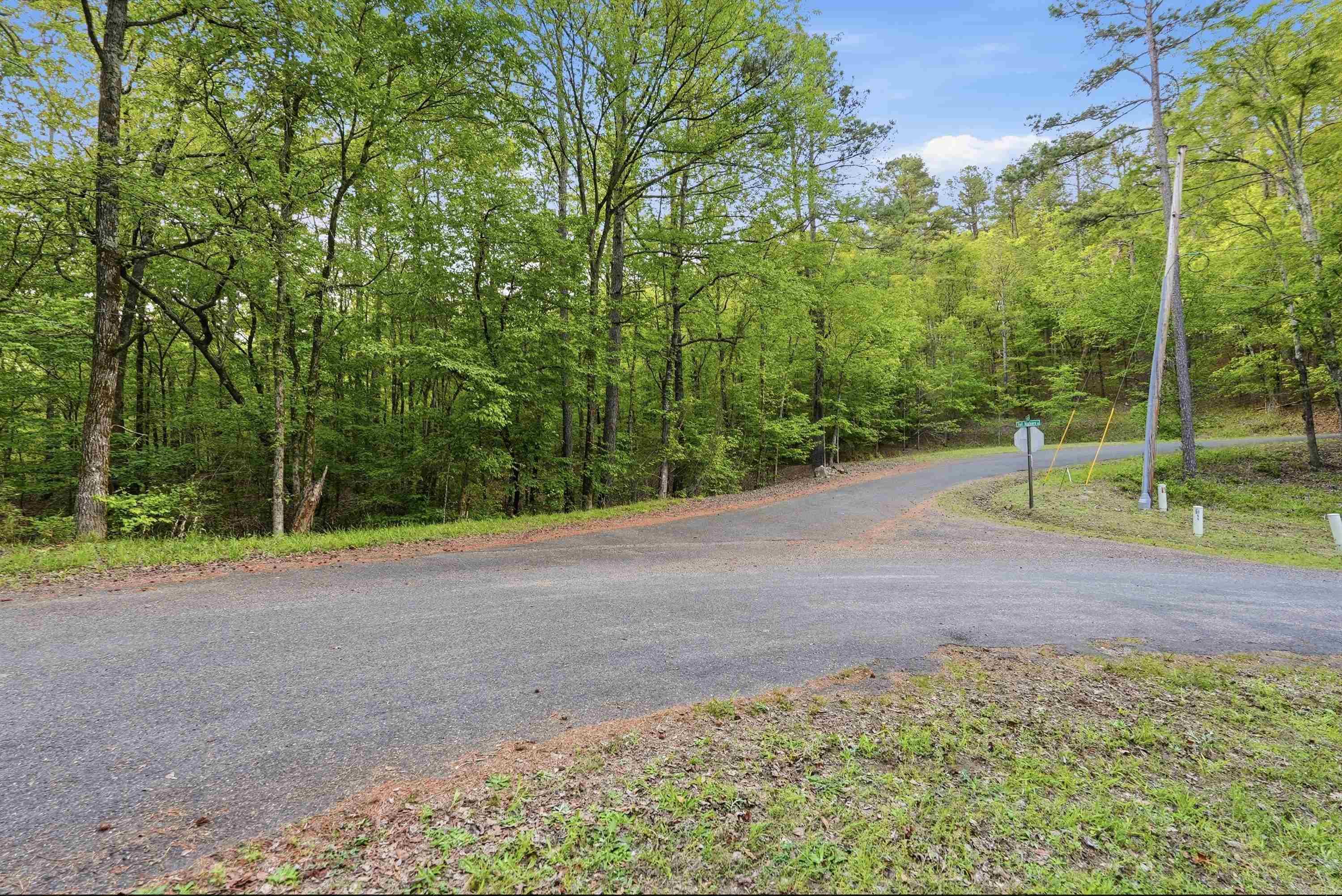 Lake Catherine Lakeview - Land