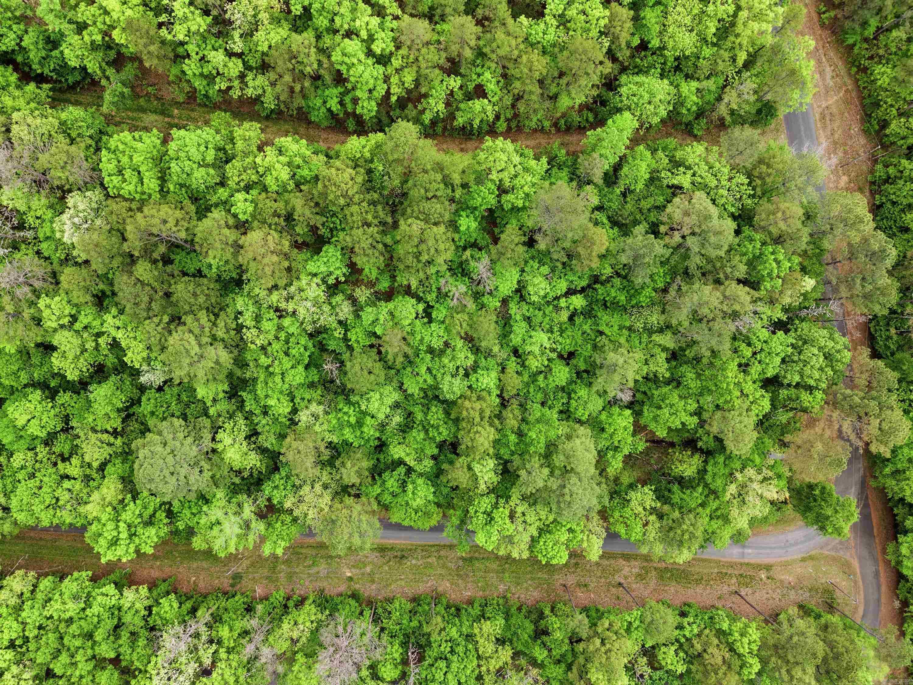 Lake Catherine Lakeview - Land