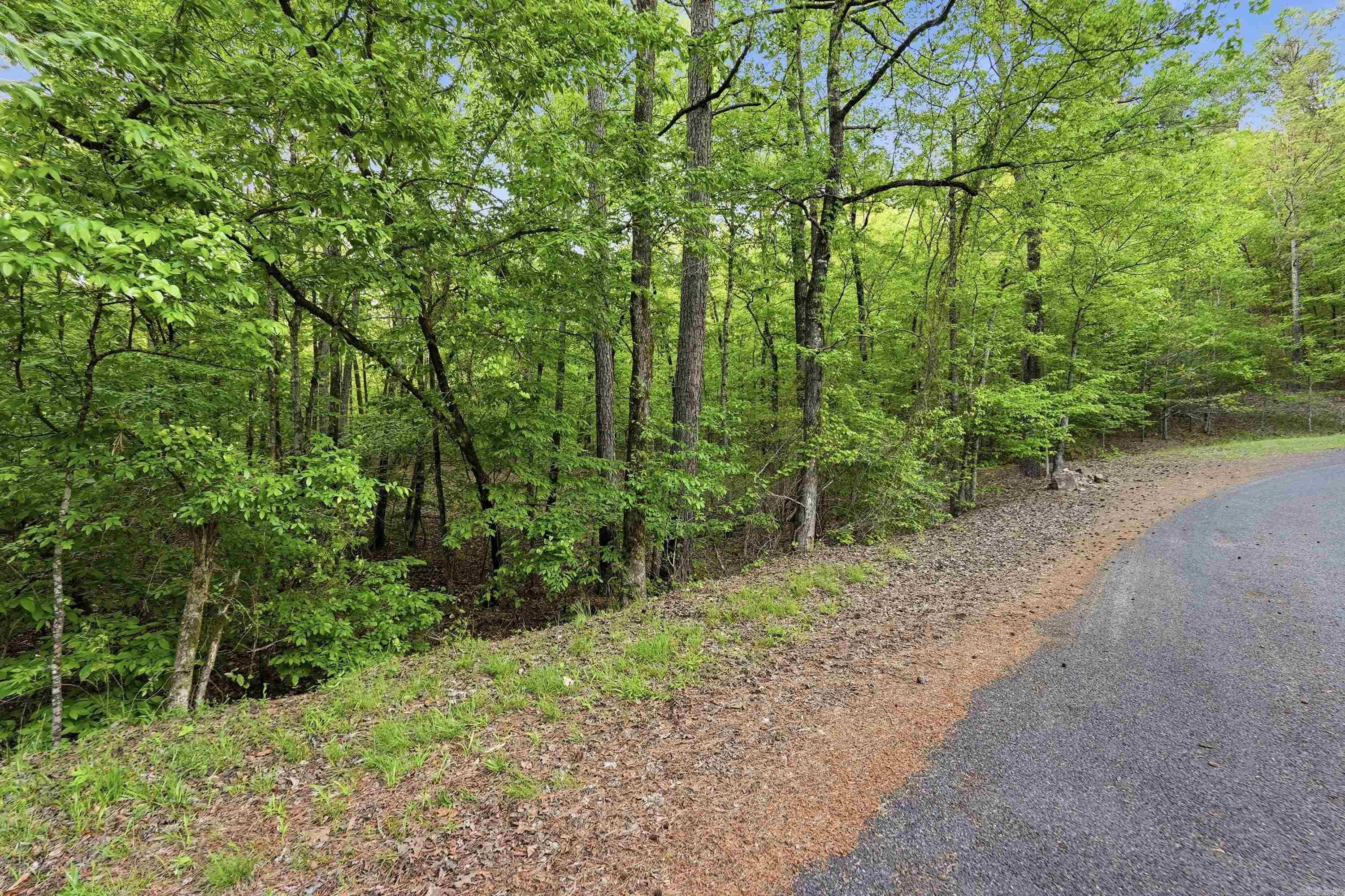 Lake Catherine Lakeview - Land