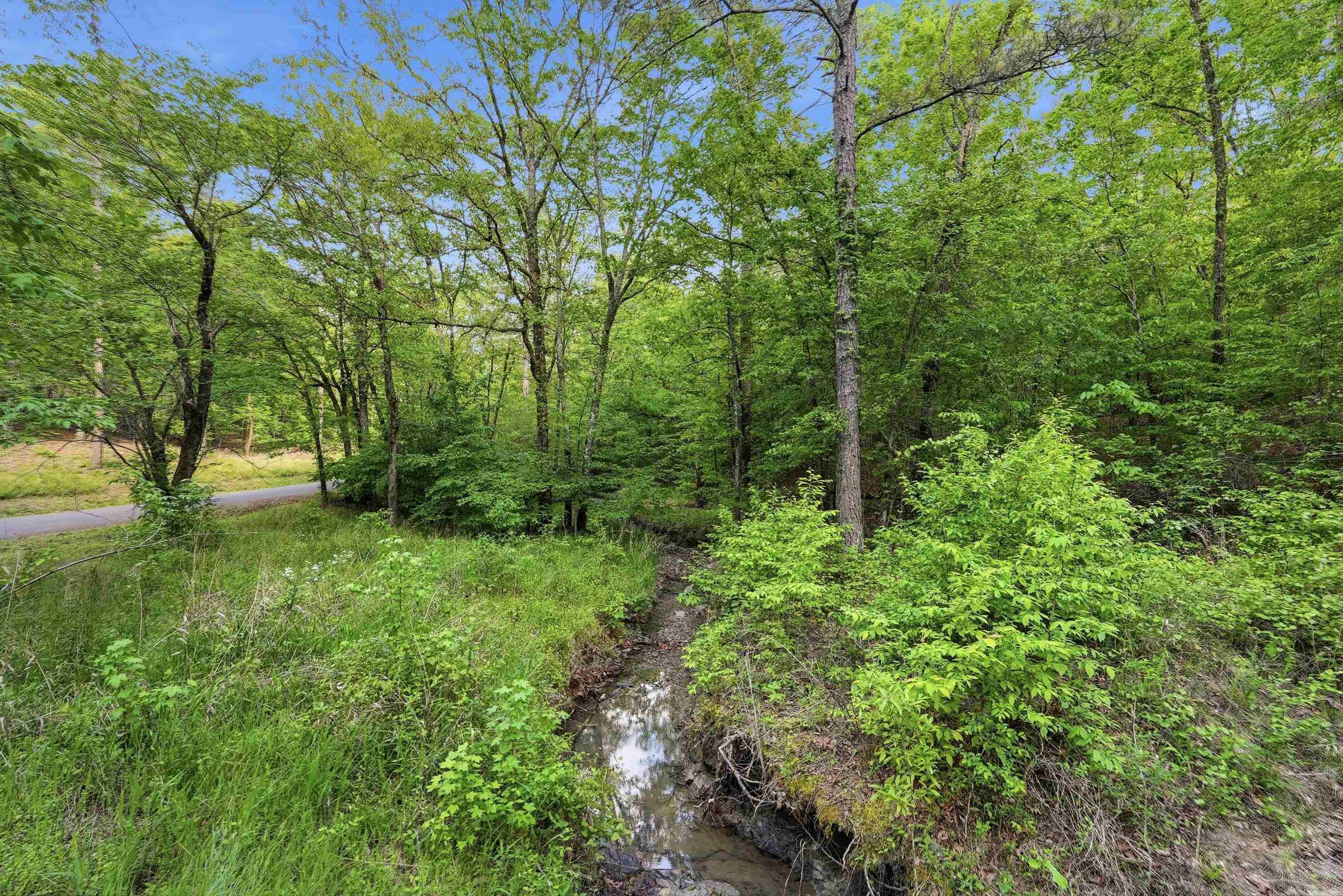 Lake Catherine Lakeview - Land