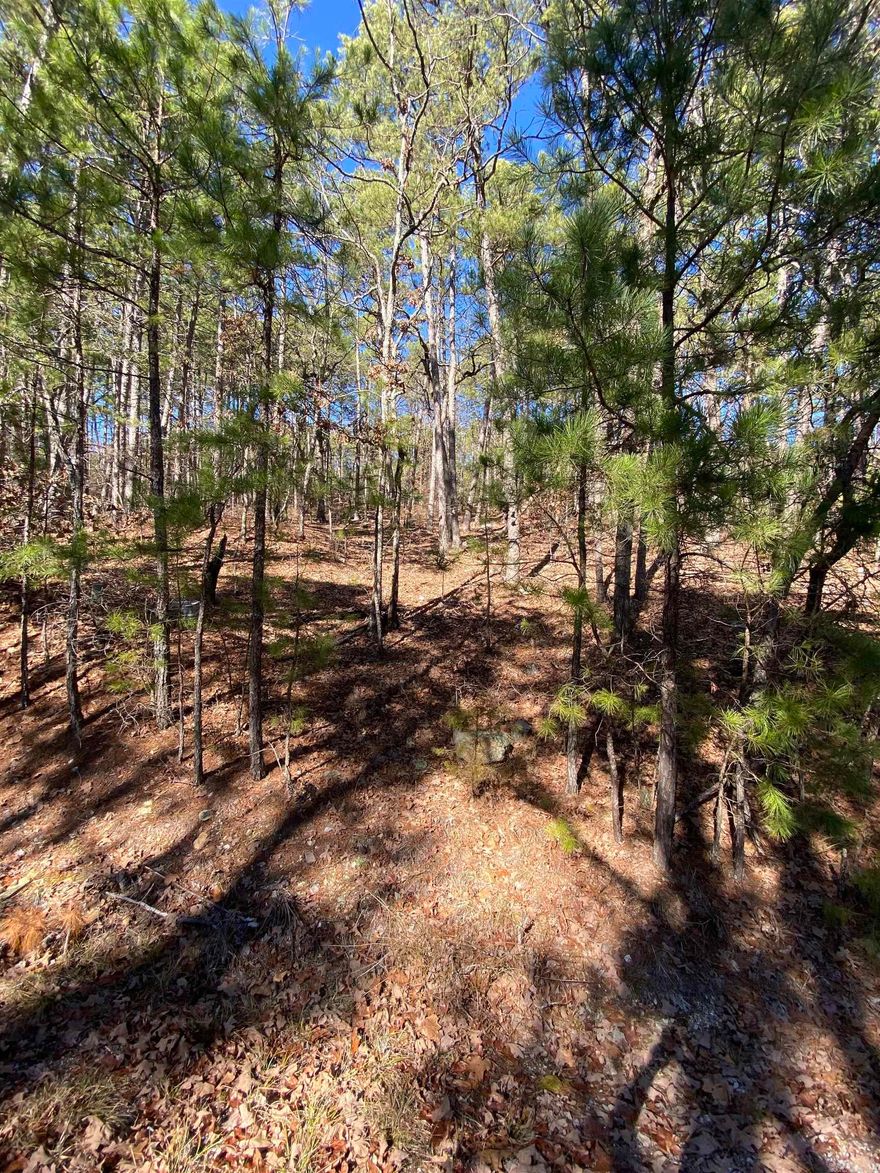 Private wooded lot ready for your dream home. Walking distance from Coronado Golf Course. Minutes away from other amenities including the Health and Wellness Center! Don't miss out on this incredible opportunity. First time members to HSV pay a one-time buy in fee . Call with any questions!