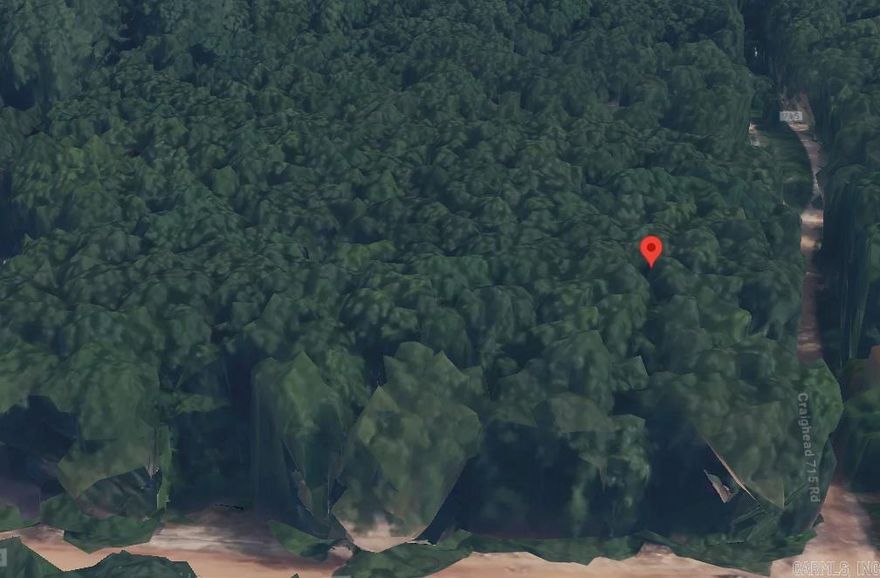 Discover this unique 1.03-acre parcel of heavily wooded unrestricted land in Jonesboro, AR. This lush property presents a rare opportunity to create your own private sanctuary amidst nature's embrace.  A septic has been installed that went with a mobile home that was once on the property.