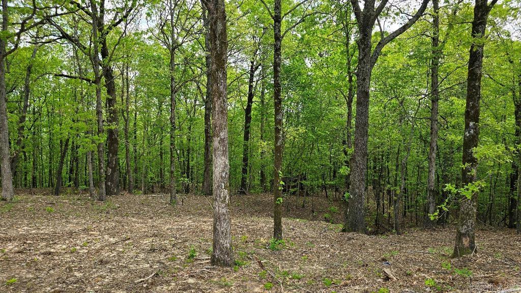 Gerald Crawford - Land