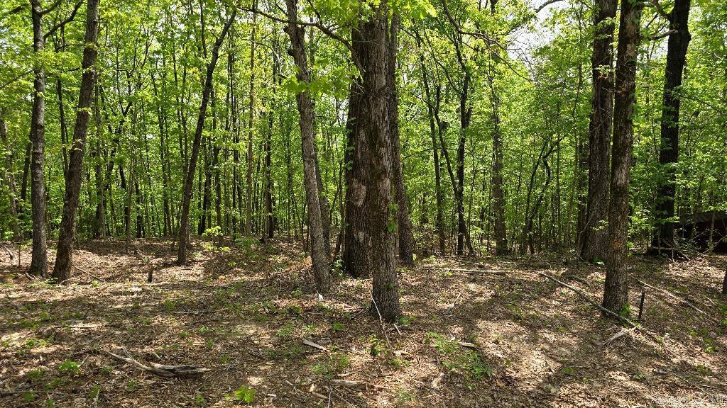 Gerald Crawford - Land