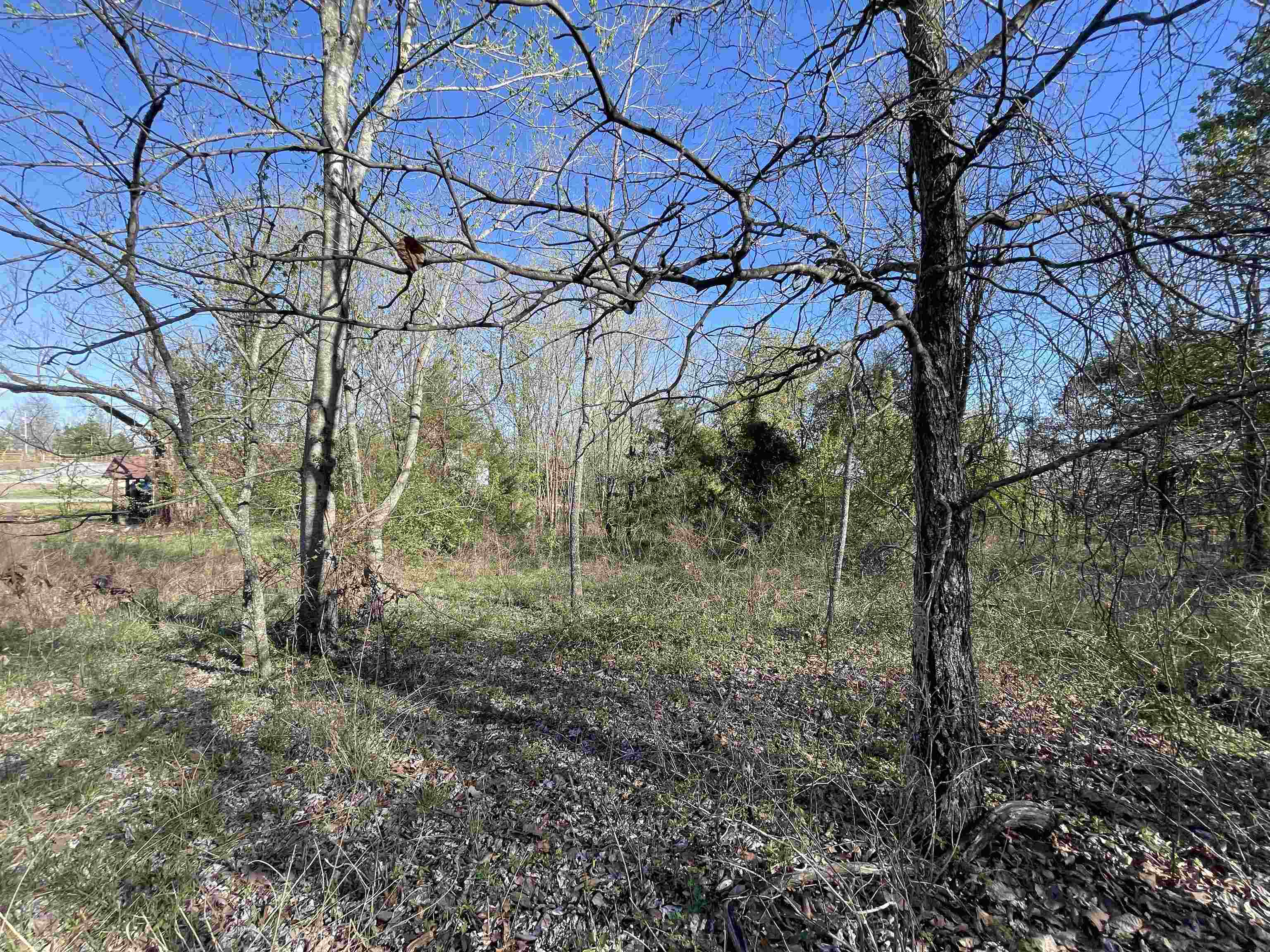 Metes & Bounds - Land