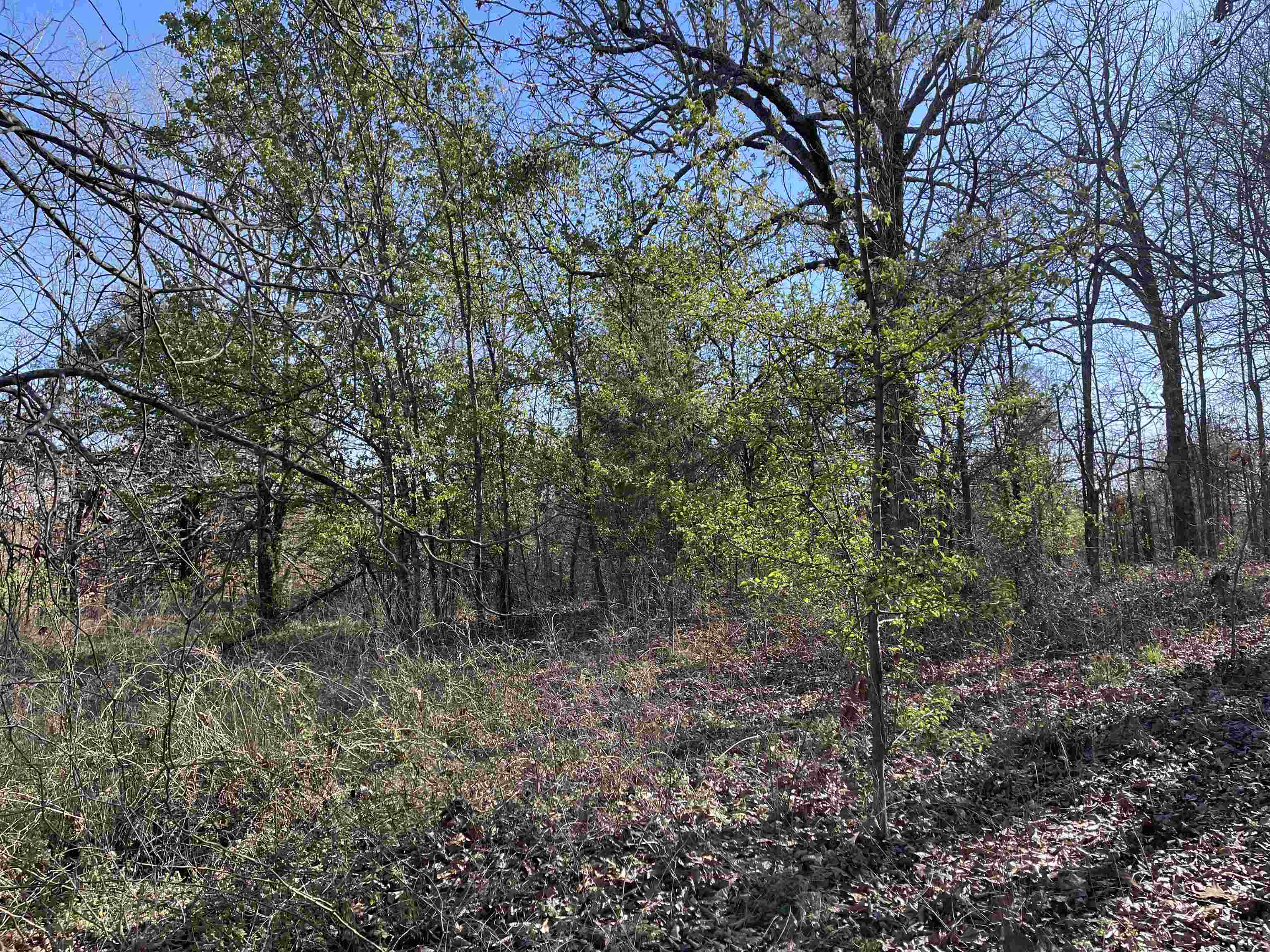 Metes & Bounds - Land