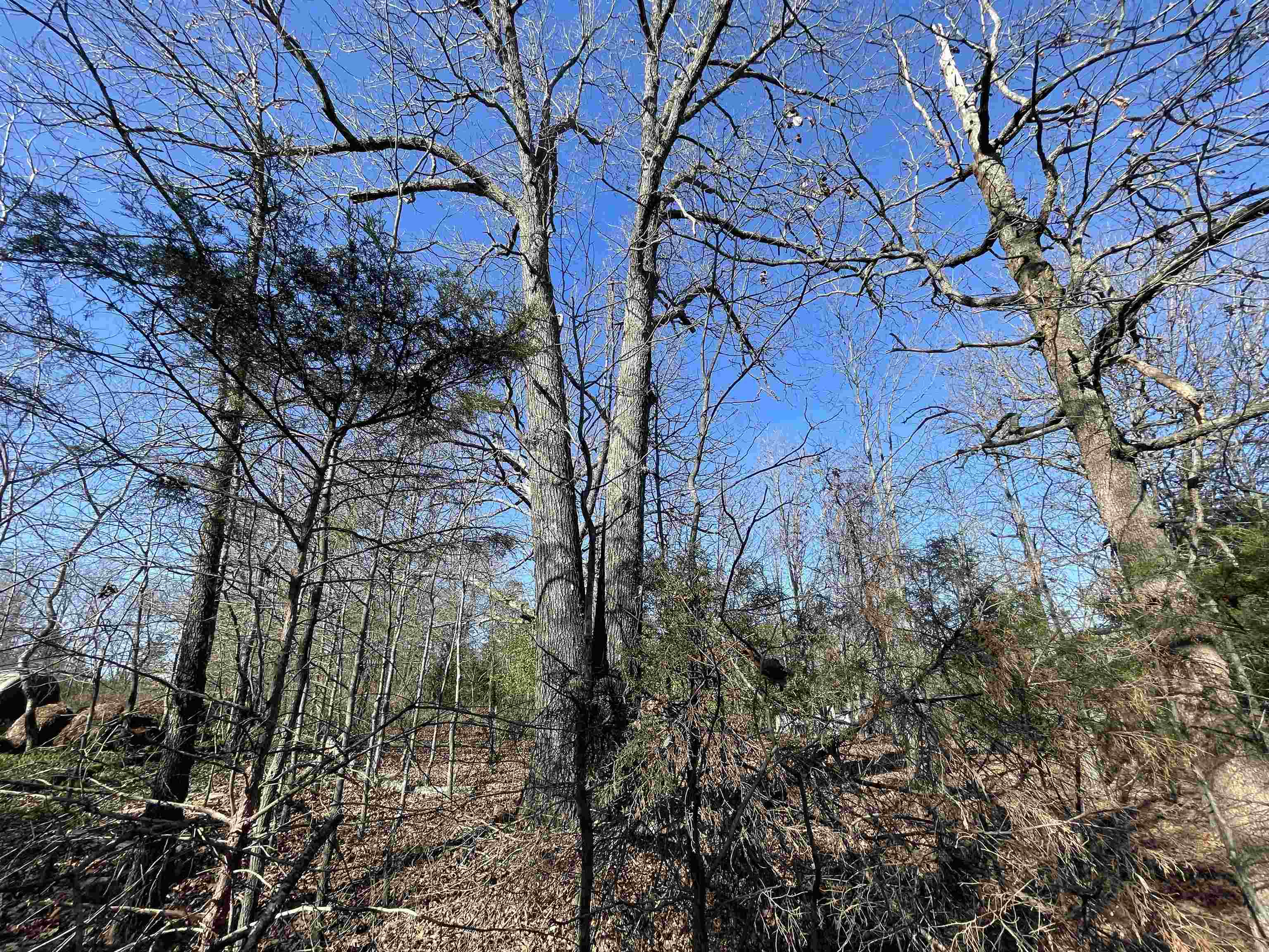 Metes & Bounds - Land