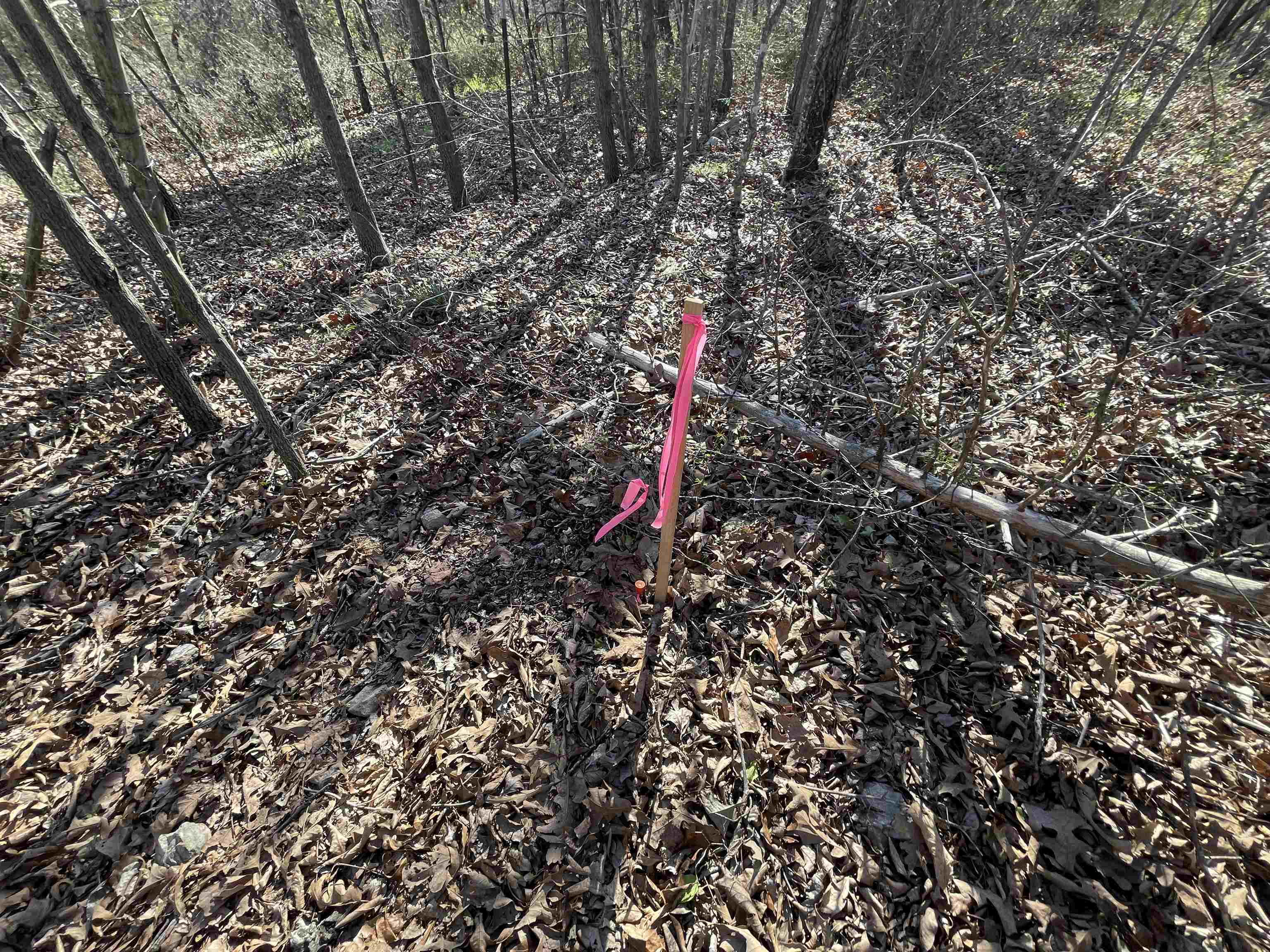 Metes & Bounds - Land