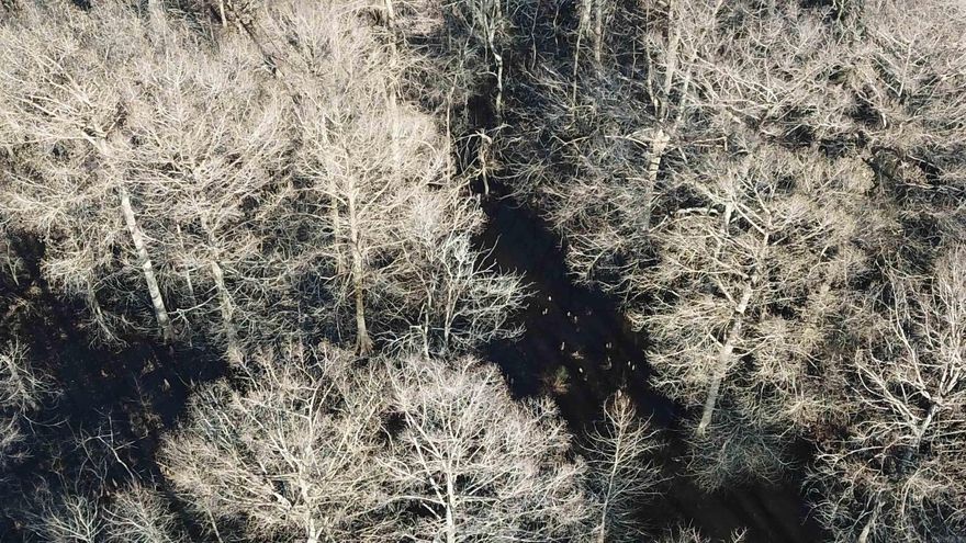 Entry Only. 80 acres on Boat Gunwell Slough. 14 acre tillable. Remaining is timberland.