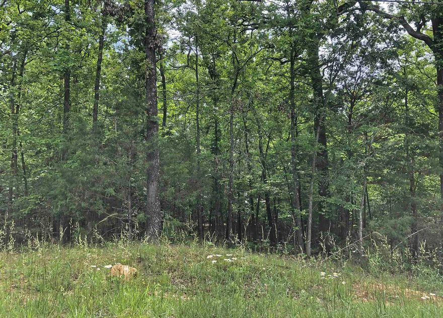 Three lots Overlooking Lake Thunderbird. These 3 lots are located across the street from Lake Thunderbird and have seasonal views of Lake Thunderbird. Also not far from the North Recreational Center.