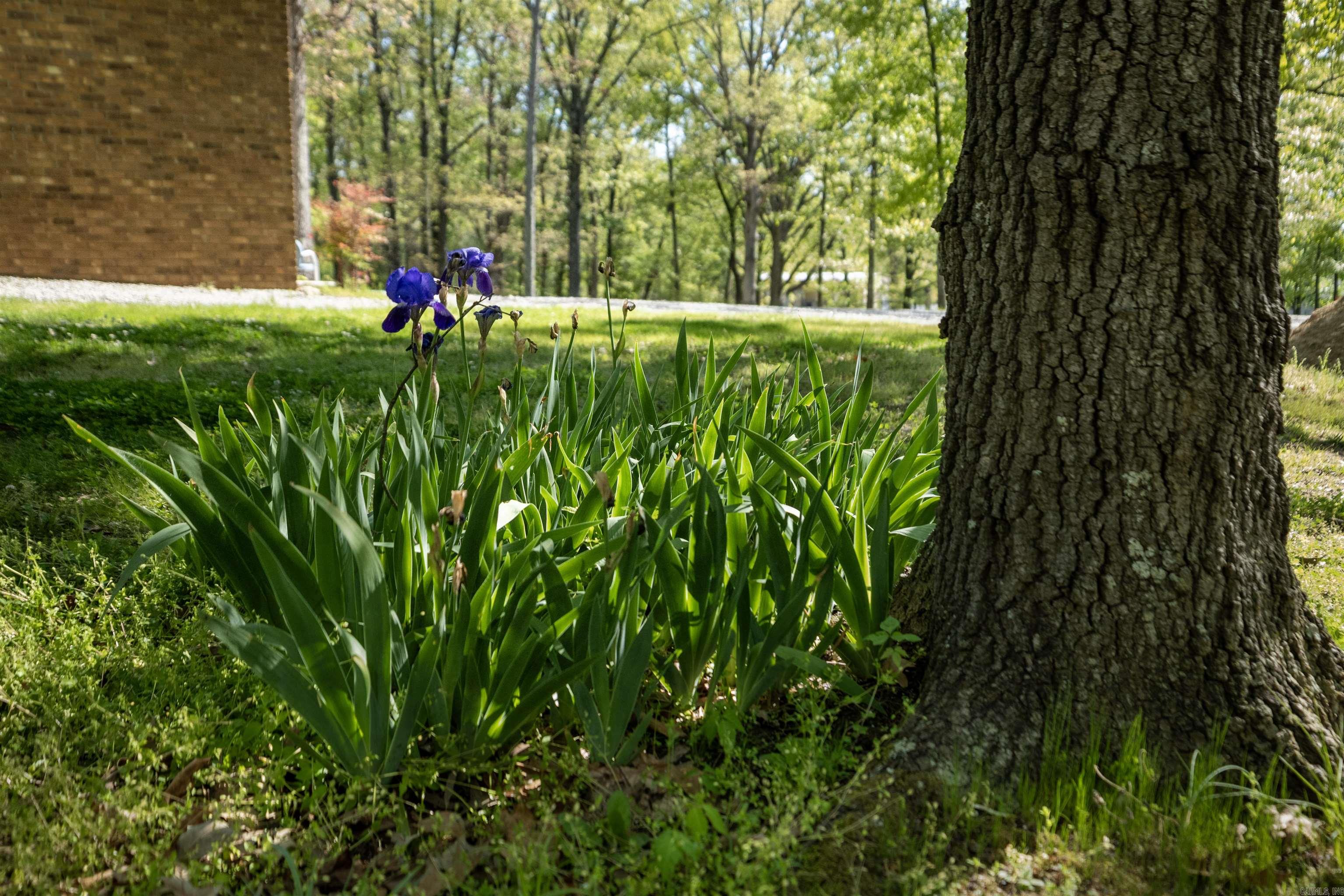 MCDOUGLE'S REPLAT OF WOODED AC - Residential