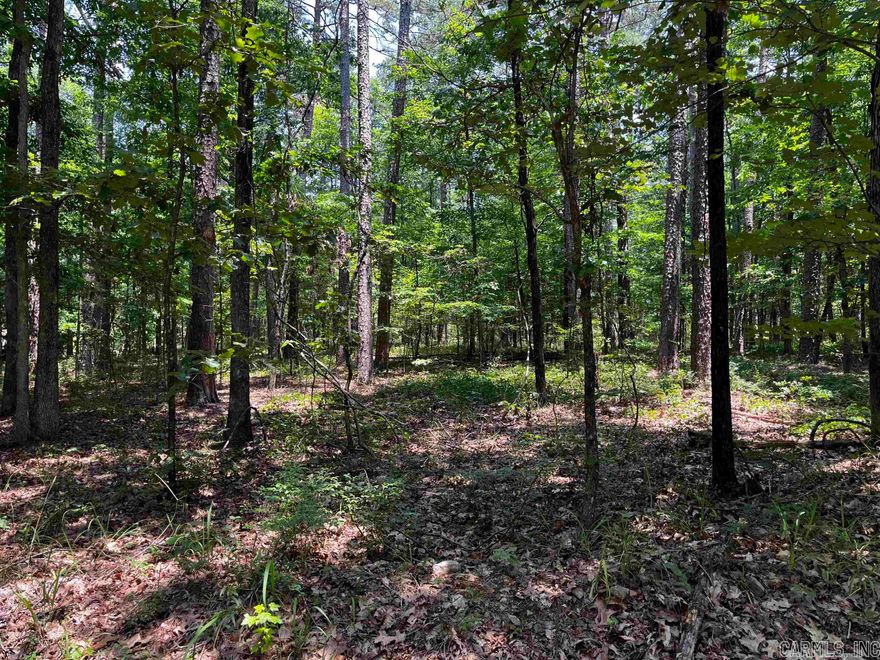 Great Location in the widely desired Hot Springs Village community! This land and neighborhood are perfect for building your dream home. The property is welcoming and conveniently located in the heart of the village.