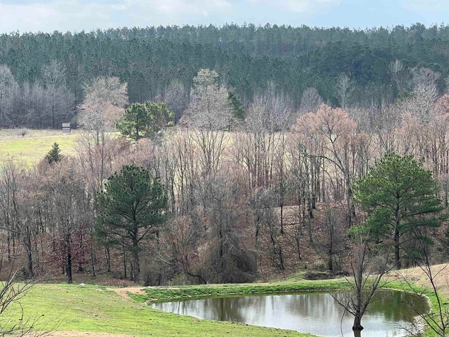 Beautiful 60 +/- acres of rolling hills, fully fenced, 2 ponds and ready for cattle or horses. If you're looking for a hunter's paradise, this property sits right in the heart of Weyerhaeuser land, offering incredible wildlife and peaceful country surroundings.