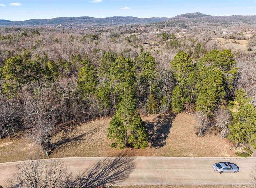 Beautiful views of Hot Springs on one of the last Whispering Hills Street Lots. Over 2 acres in Eastgate 2 with no POA but does have a Bill of Assurance. These views will go fast!