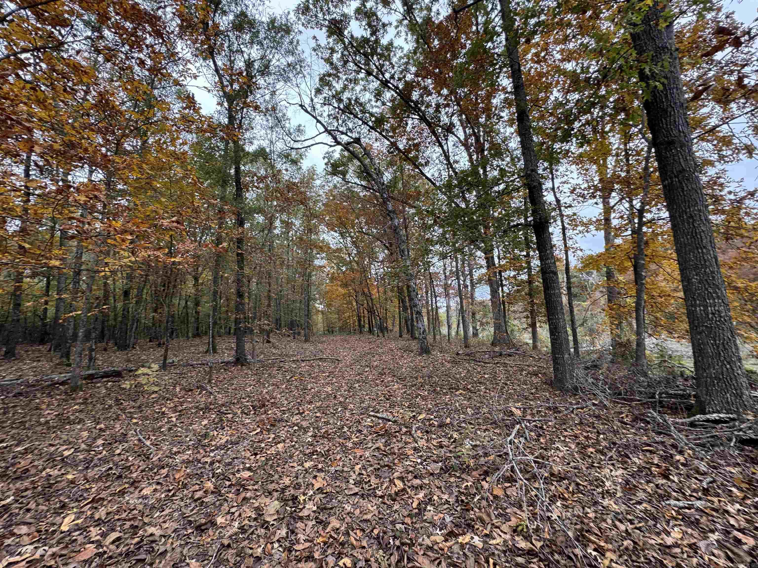 Not in Subdivision - Land