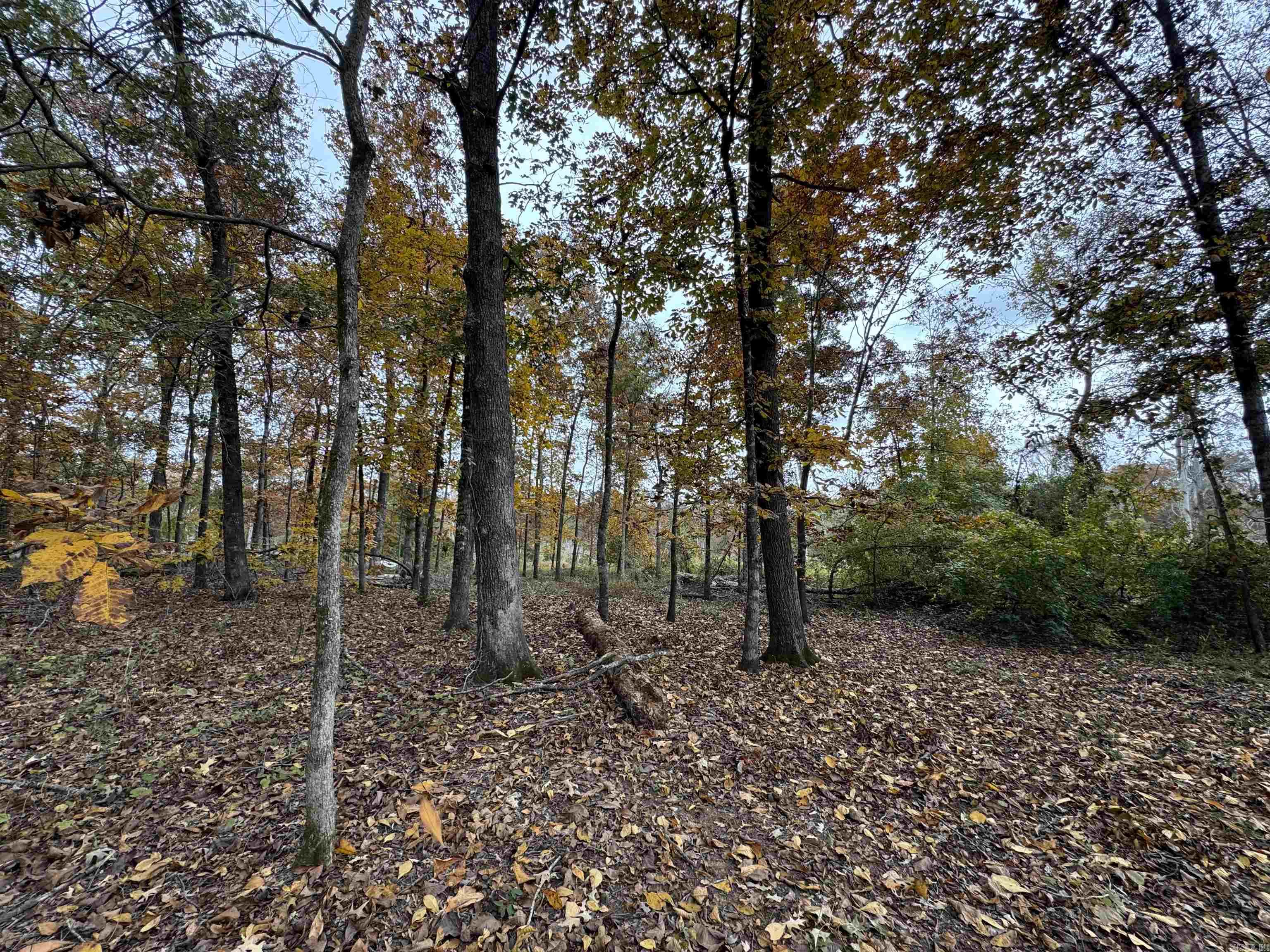 Not in Subdivision - Land