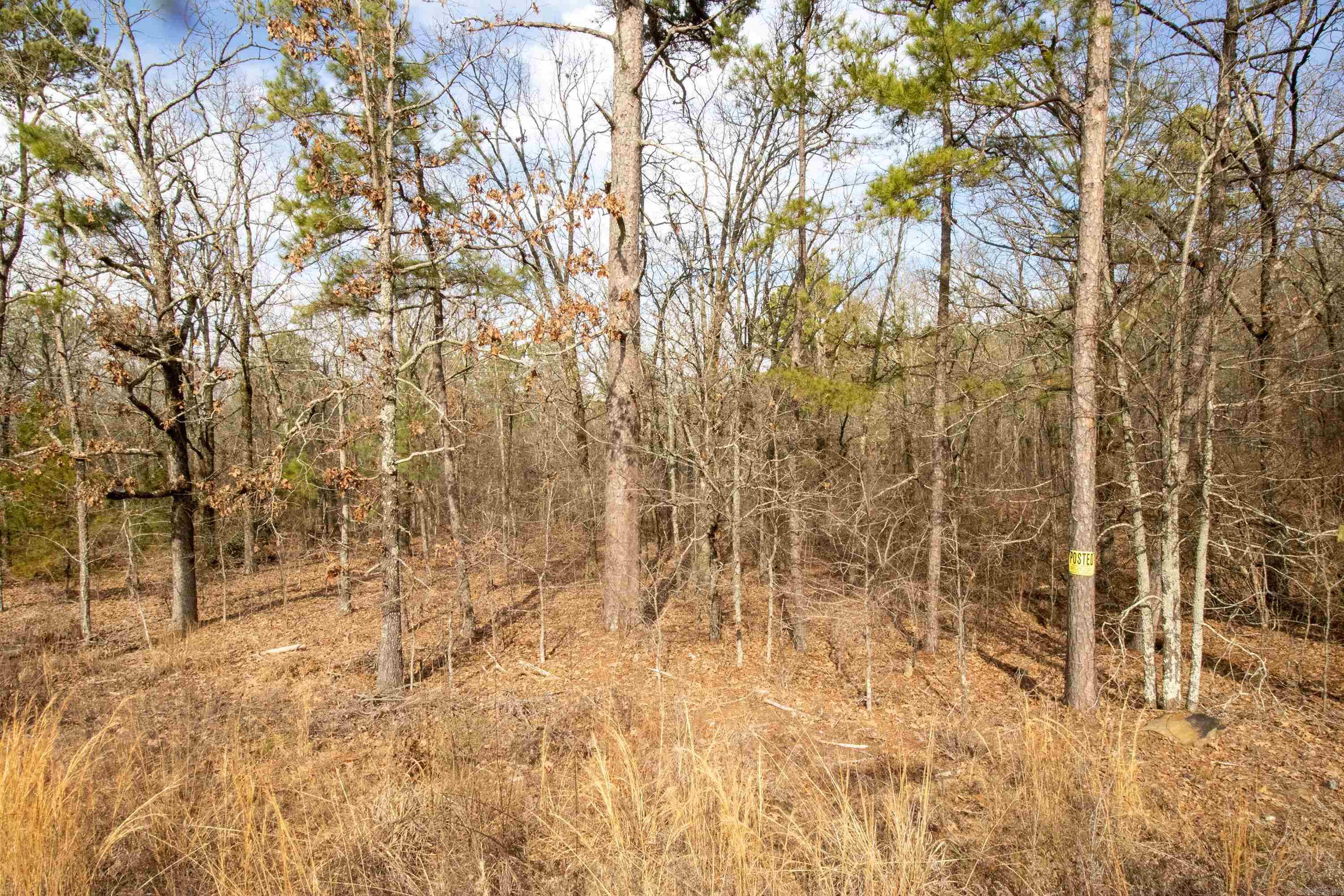 Metes & Bounds - Land