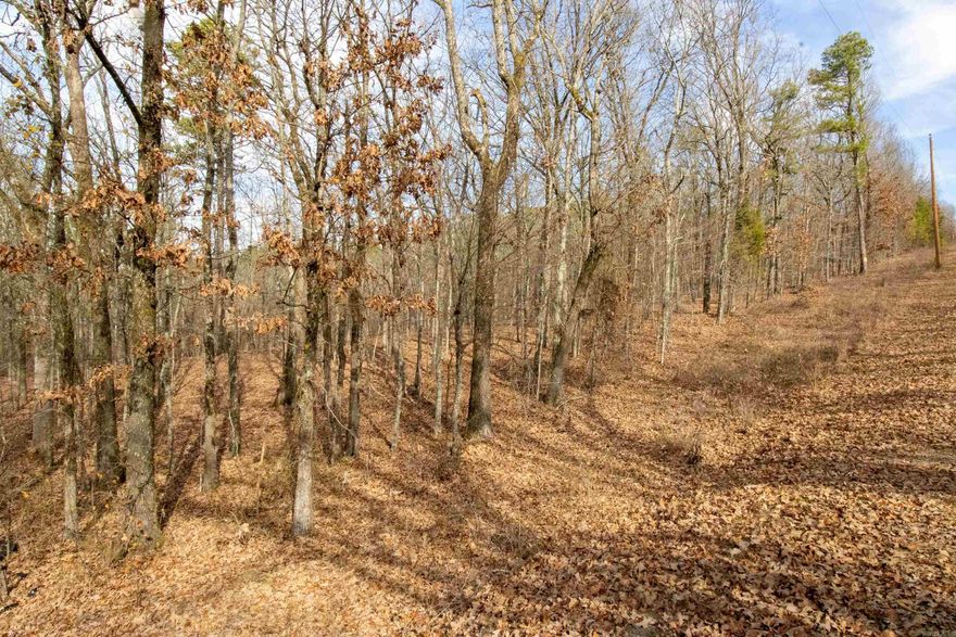Privacy can be yours on this wooded spot with access to all conveniences of North Little Rock and Maumelle.  Acreage is 19+ see survey. No buildings on the property. Electricity available on Trapp Rd. City water being installed