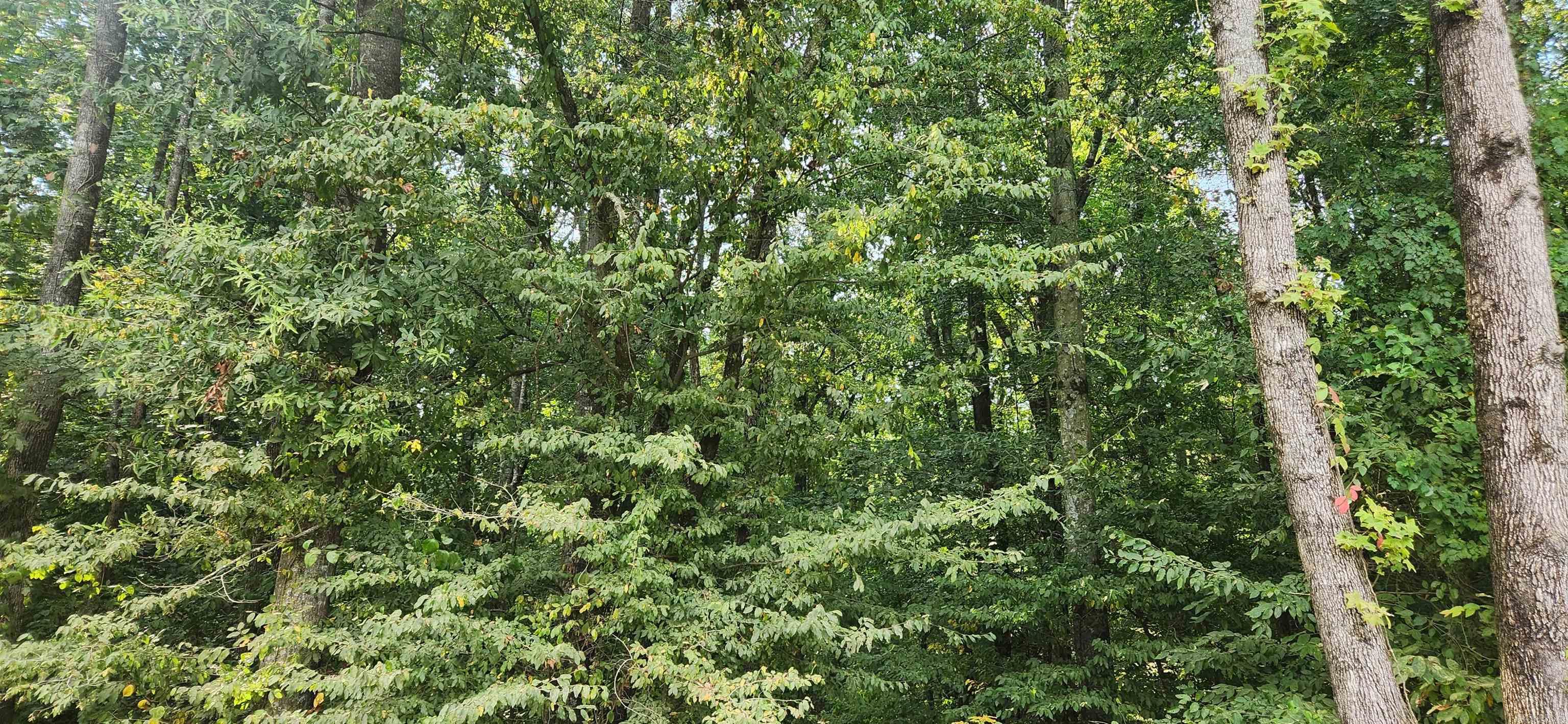 MC BRYDE ACRES - Land