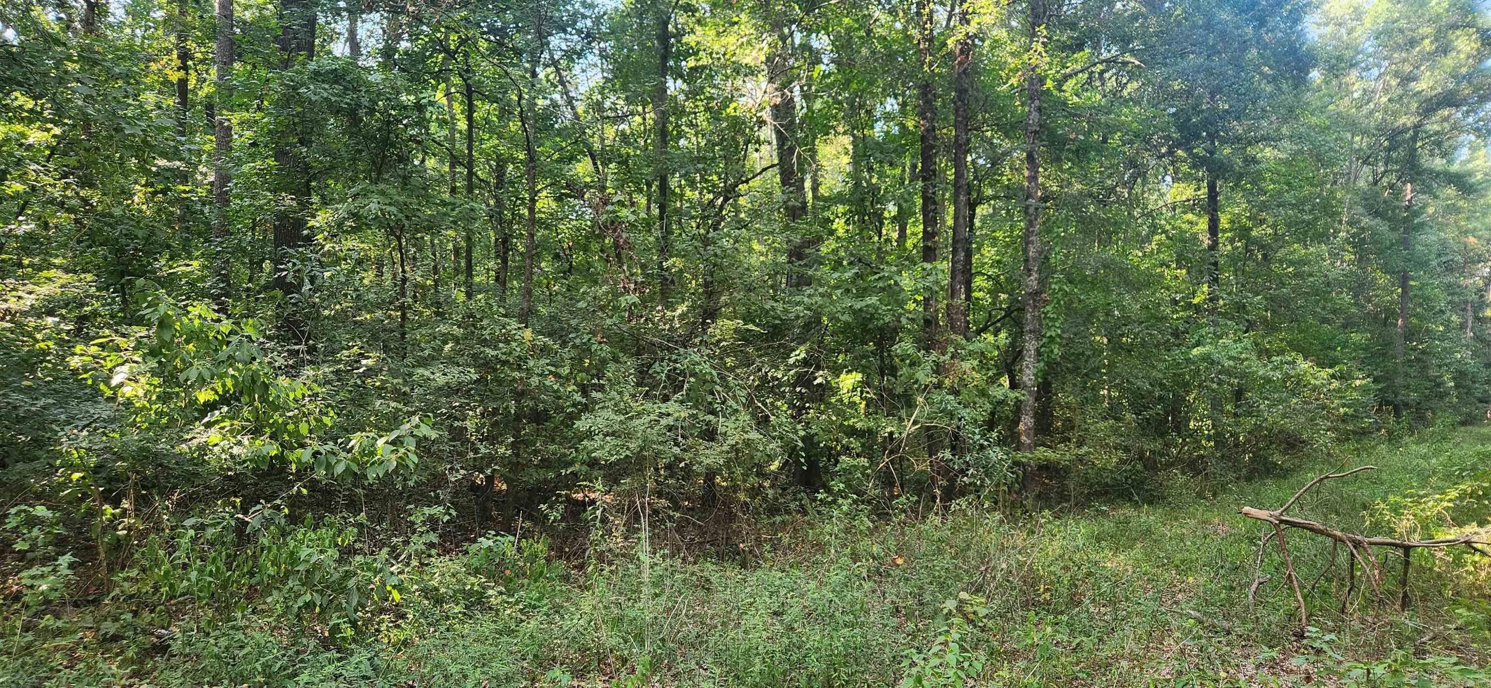 MC BRYDE ACRES - Land