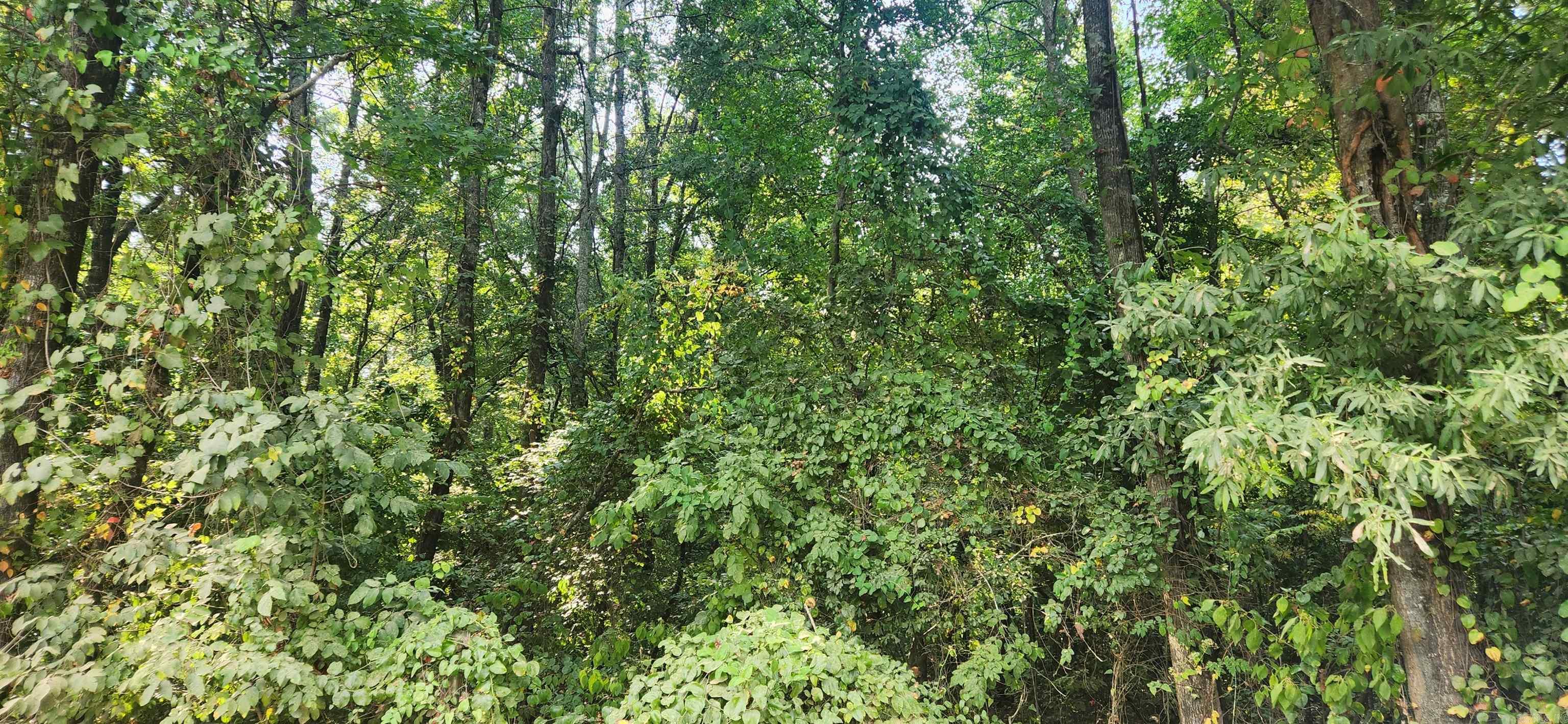 MC BRYDE ACRES - Land