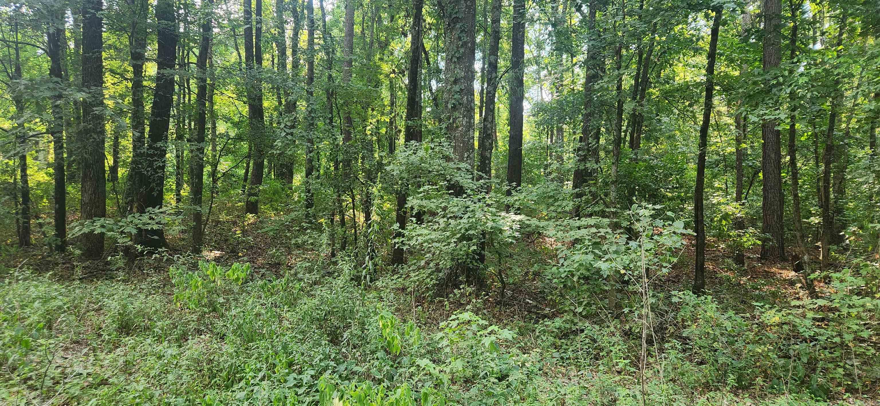 Beautiful 5-acre tract with an abundant of mixed hardwood and Pine timber. Has a creek running through it. Has high ground for building a home or mobile home. Water and electricity on Joel Road.