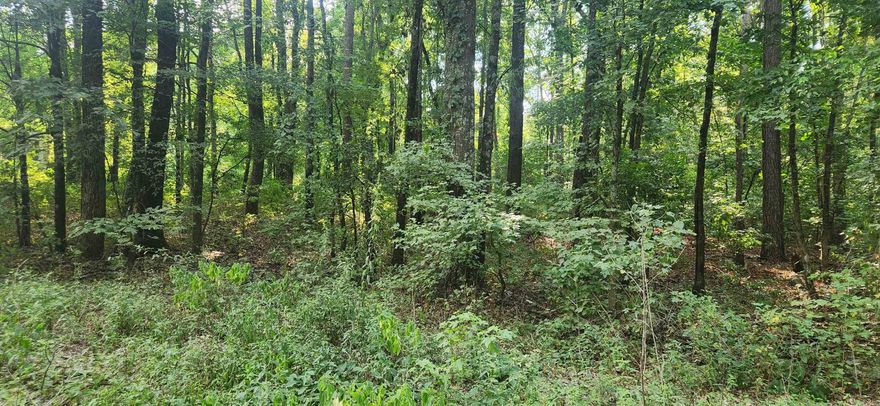 Beautiful 5-acre tract with an abundant of mixed hardwood and Pine timber. Has a creek running through it. Has high ground for building a home or mobile home.  Water and electricity on Joel Road.