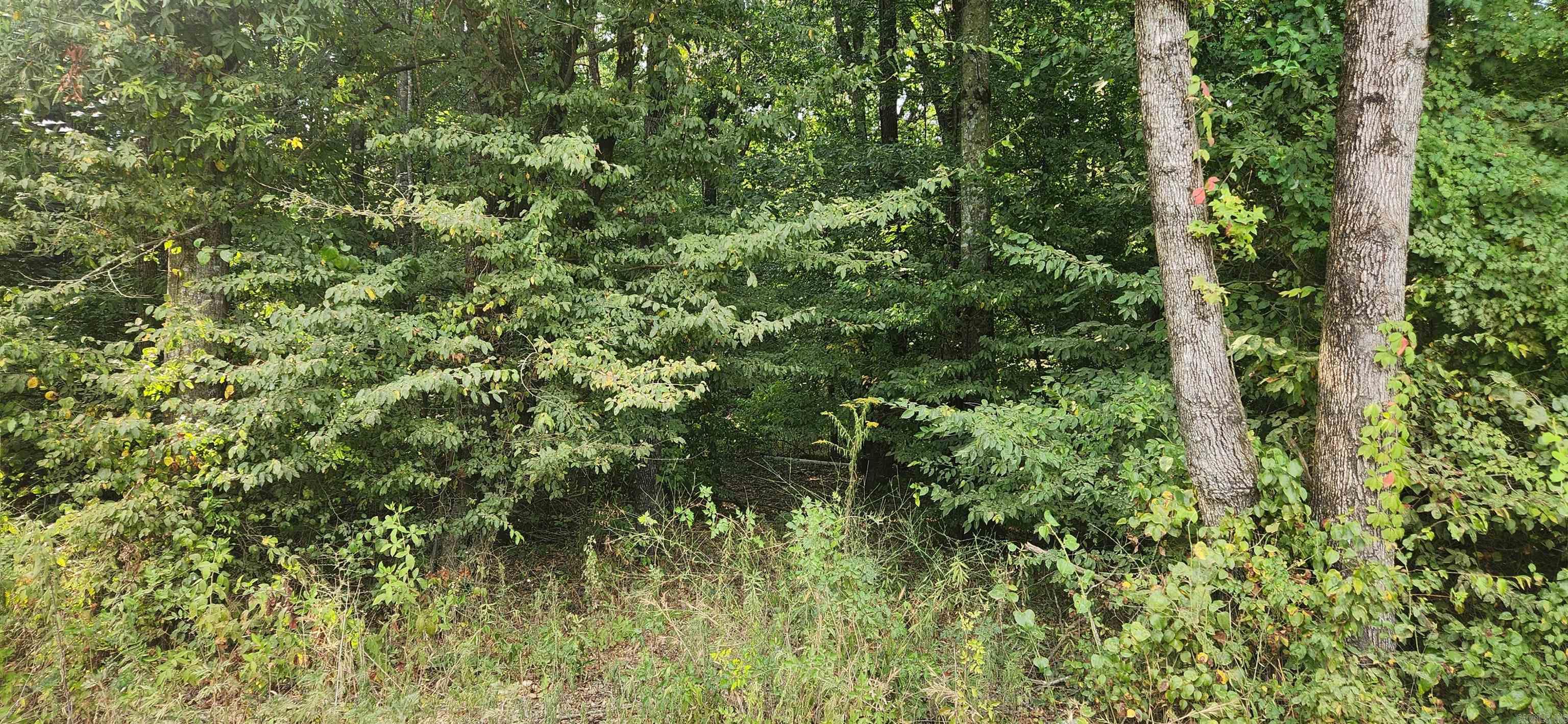 MC BRYDE ACRES - Land