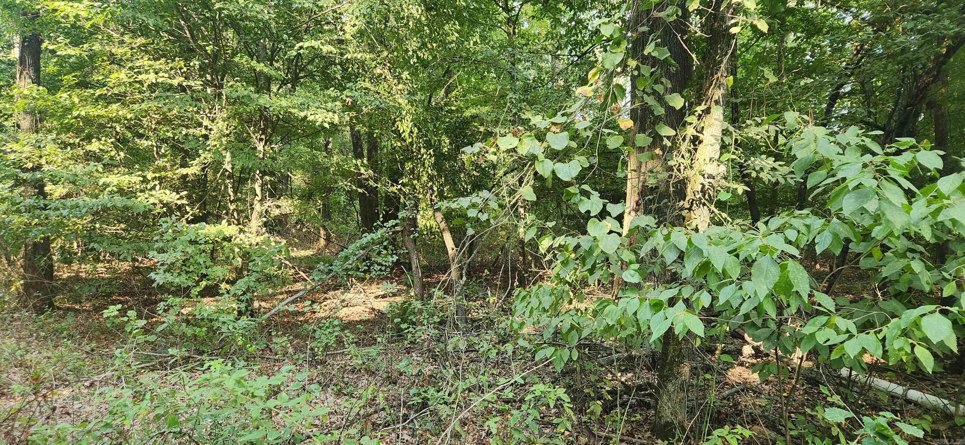 MC BRYDE ACRES - Land