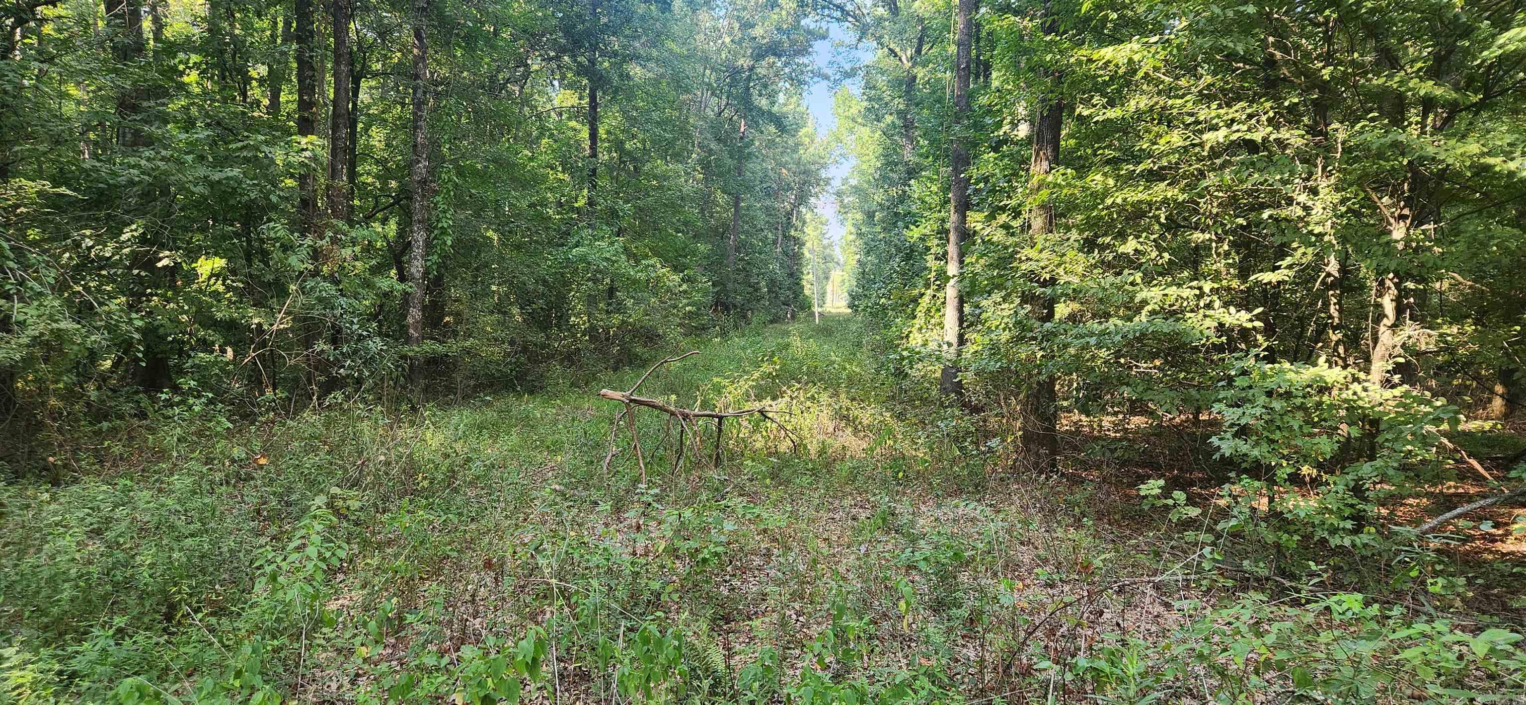 MC BRYDE ACRES - Land