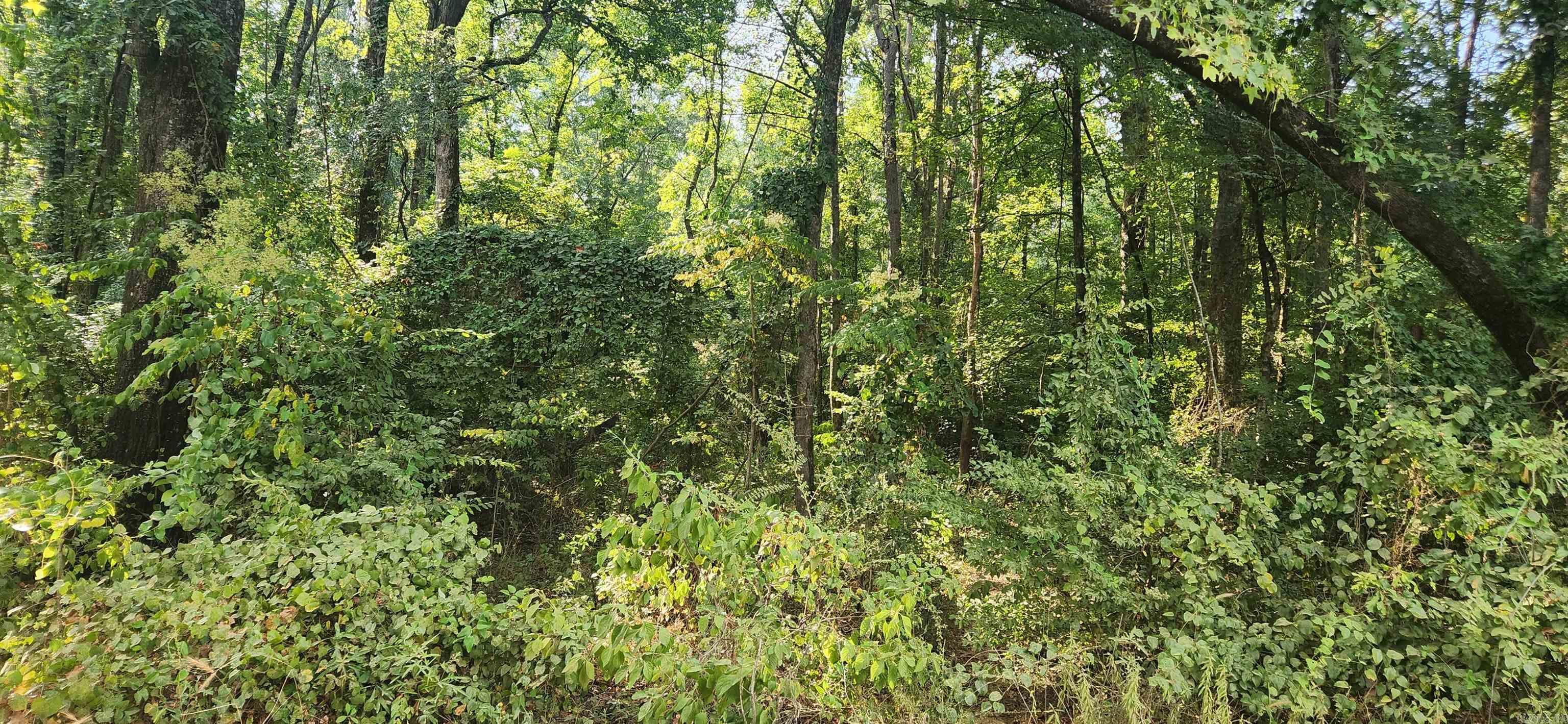 MC BRYDE ACRES - Land