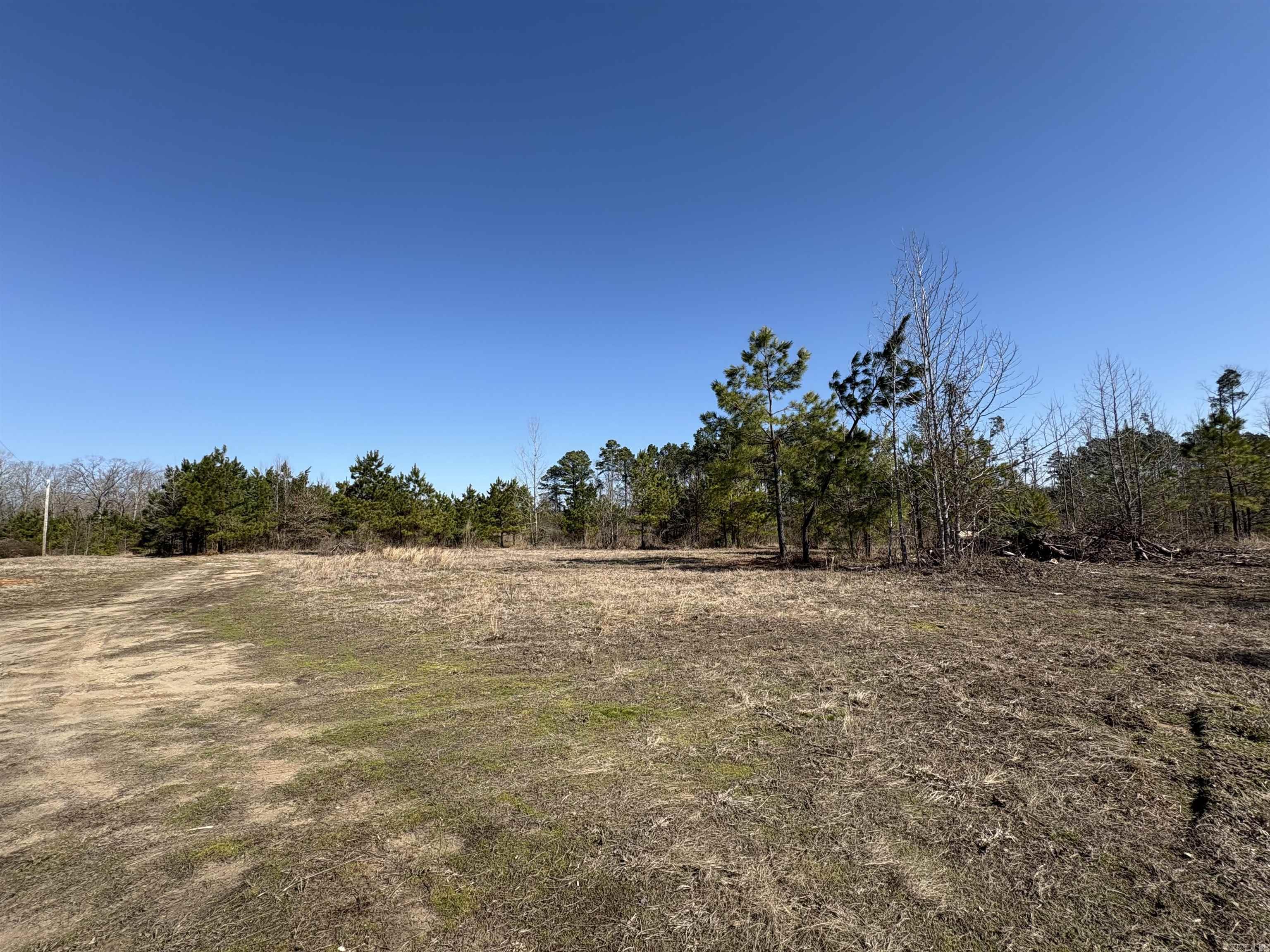 No restrictions- build or bring a mobile home and enjoy this peaceful spot in the country! You can hunt in your backyard! Driveway in place & a spot already cleared for you with a septic and electricity. No water currently on the property but you can add a well. There is a 99 model single wide currently on the property-no value on it.