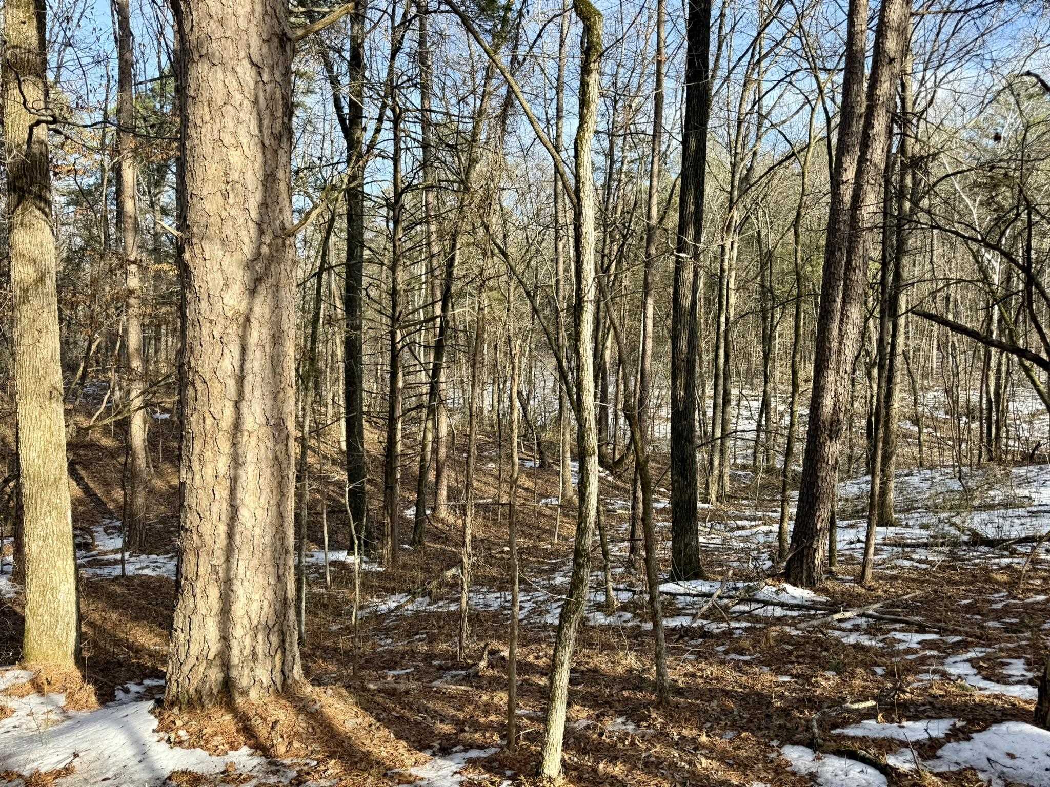 Metes & Bounds - Land