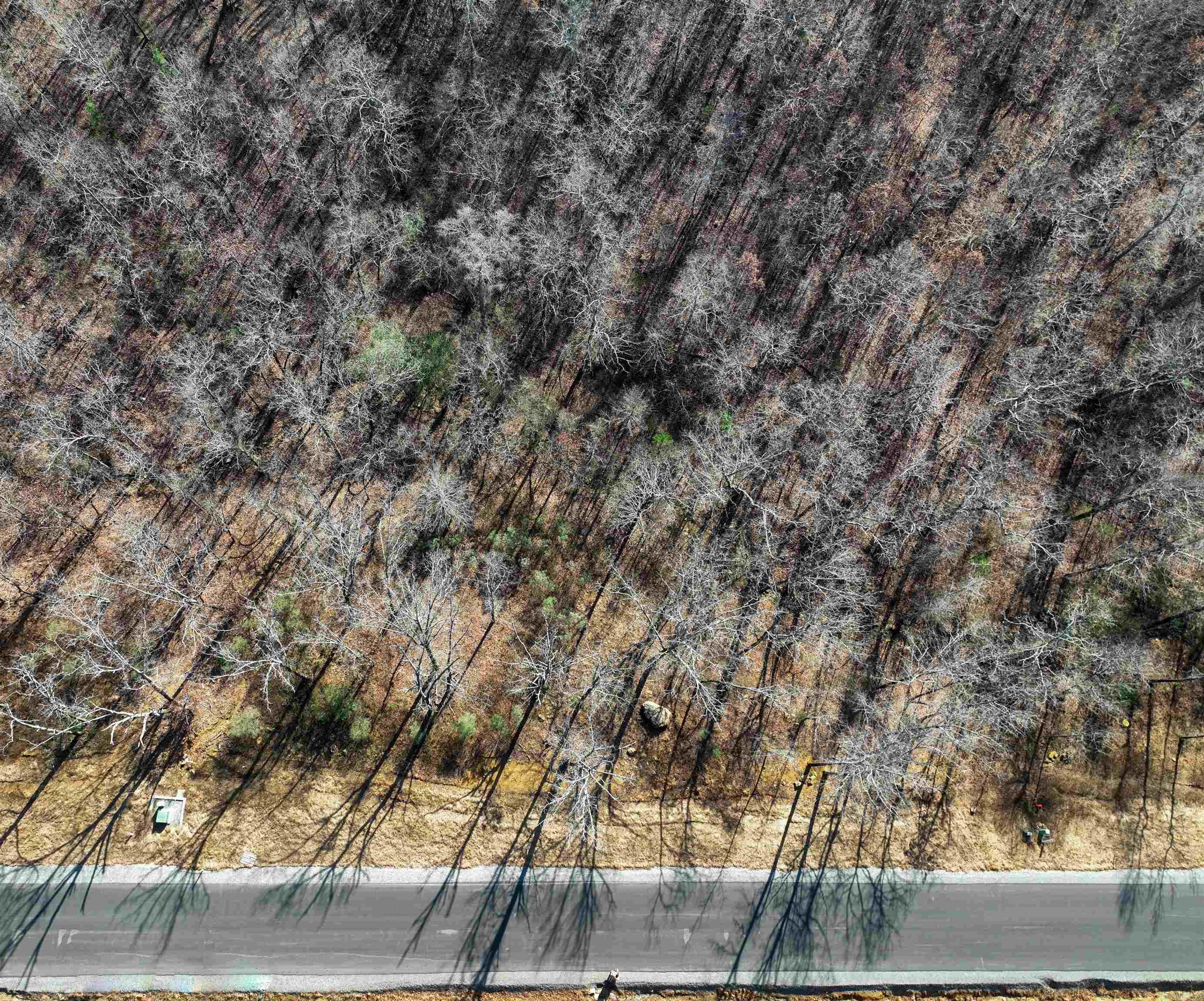 North View - Land