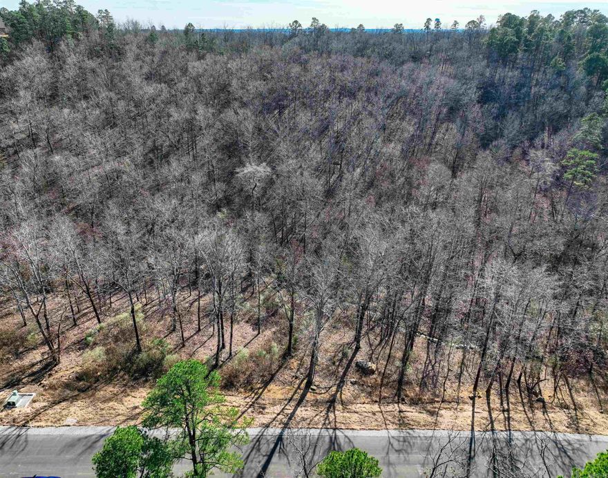 Large estate size lots in convenient location just outside of town. Conway Corp utilities, natural gas, Beaverfork Water, septic, use any builder, no timeline restrictions, Covenants and Restrictions. Road to be paved this spring. 2700sf building minimum.