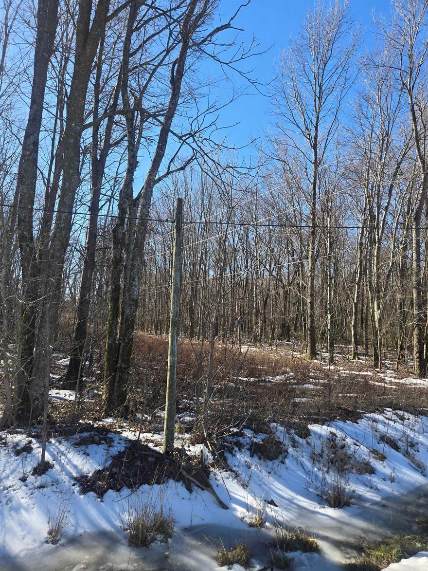 4 total parcels available! This one is .23 acres. Property is in a flood zone. Approximate lot size is 47x195x49x195. Getting a survey is encouraged.  3 other parcels available. Property is directly off of Highway 38 E. Sign is at the edge of the lot. Buyer to verify all utility information.
