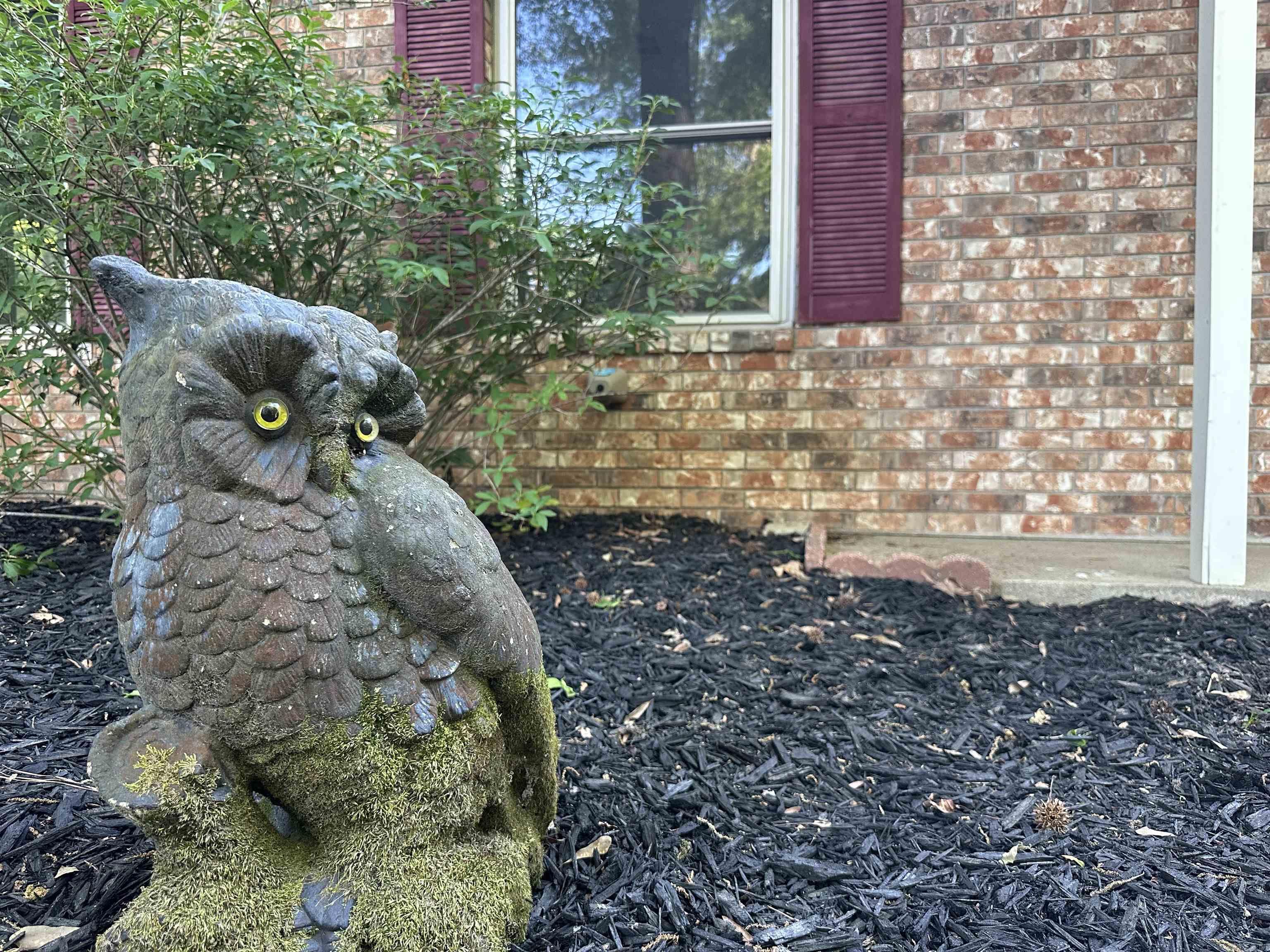 Saline - Residential