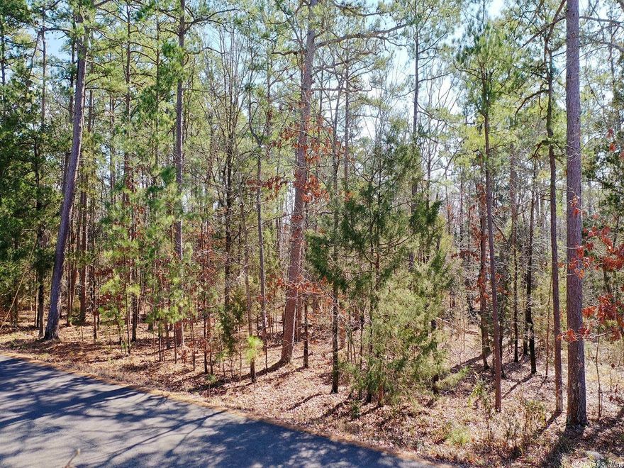 LEVEL HALF ACRE LOT WITH COMMON PROPERTY AND VIEW OF LAKE BALBOA. GORGEOUS LAKE NEIGHBORHOOD WITH FABULOUS LAKE HOMES ALL AROUND. DON'T LET THIS ONE GET AWAY!!! ALL FOUR CORNERS HAVE BEEN FLAGGED BY SURVEYOR.