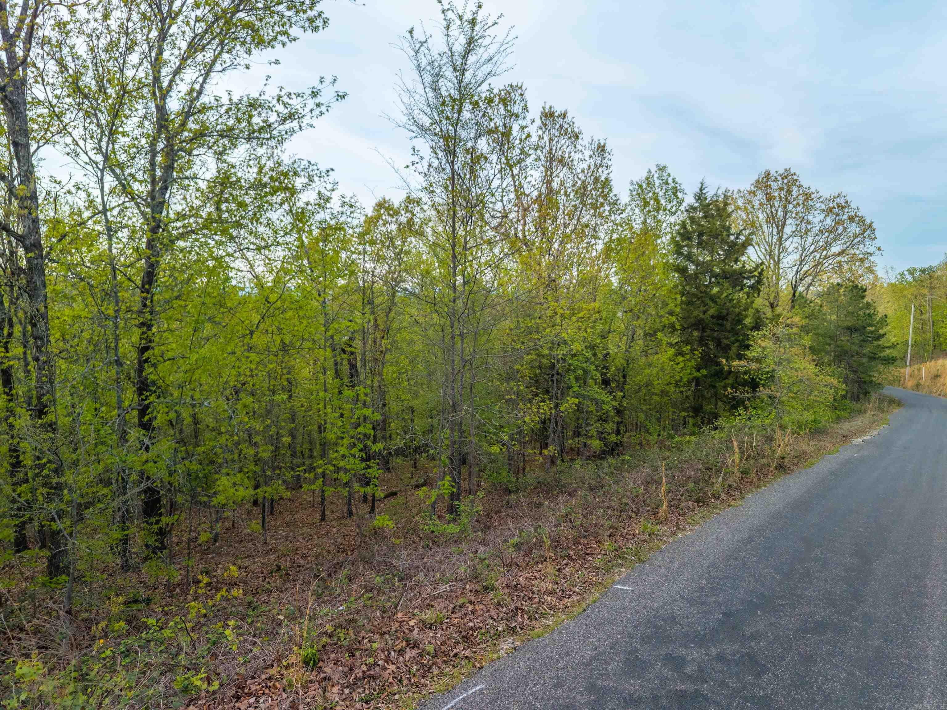 Hot Springs Unplatted - Land